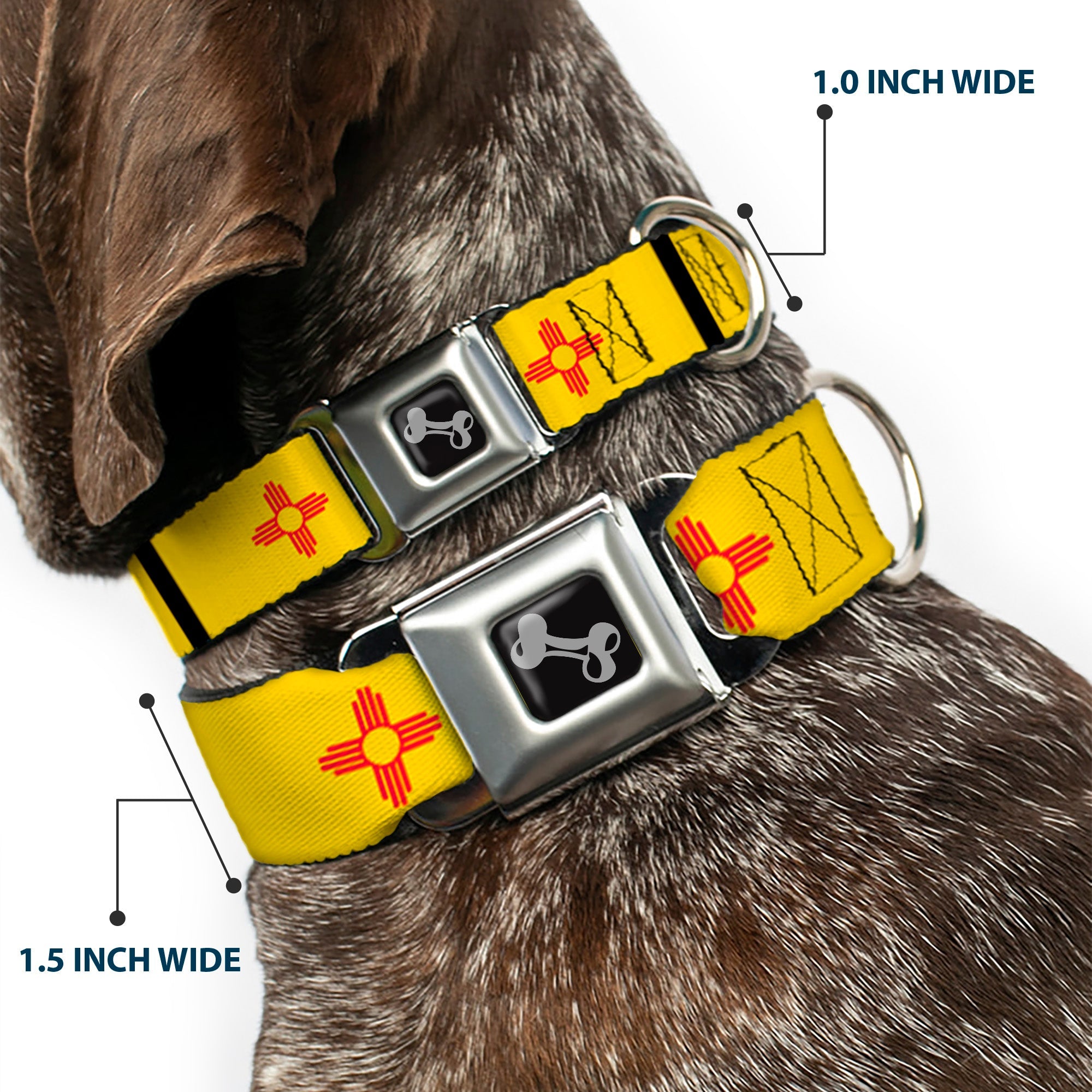 Dog Bone Seatbelt Buckle Collar - New Mexico Flag/Black