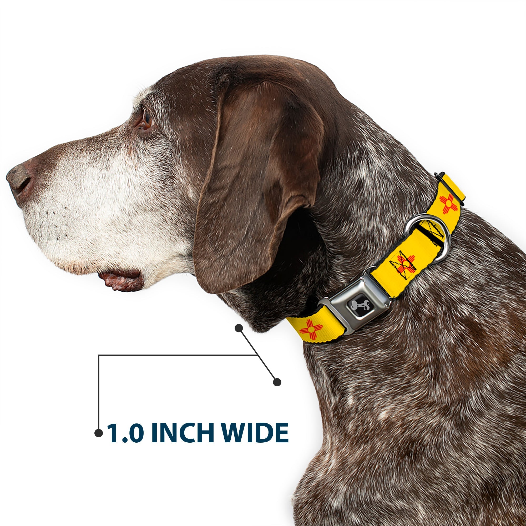 Dog Bone Seatbelt Buckle Collar - New Mexico Flag/Black