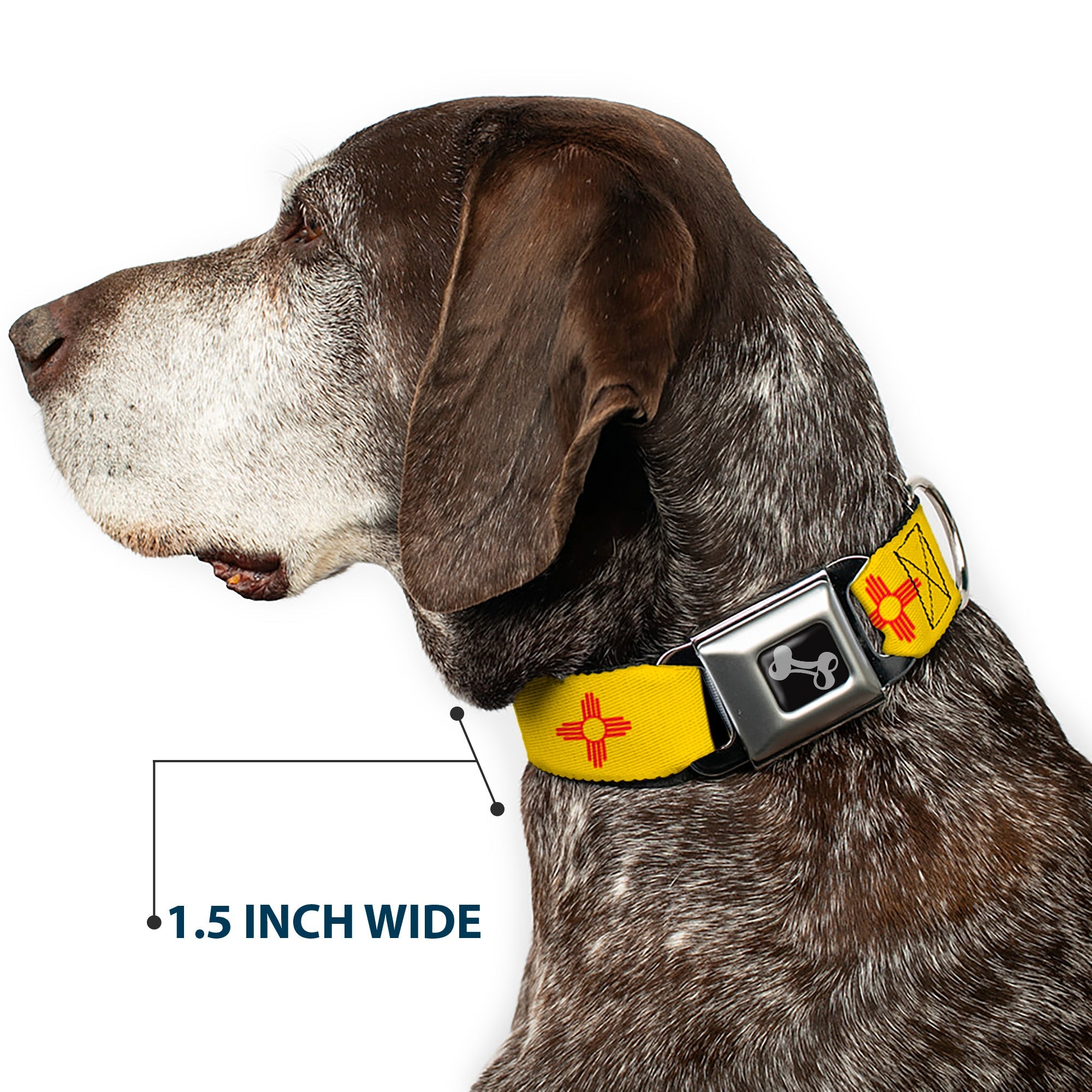 Dog Bone Seatbelt Buckle Collar - New Mexico Flag/Black