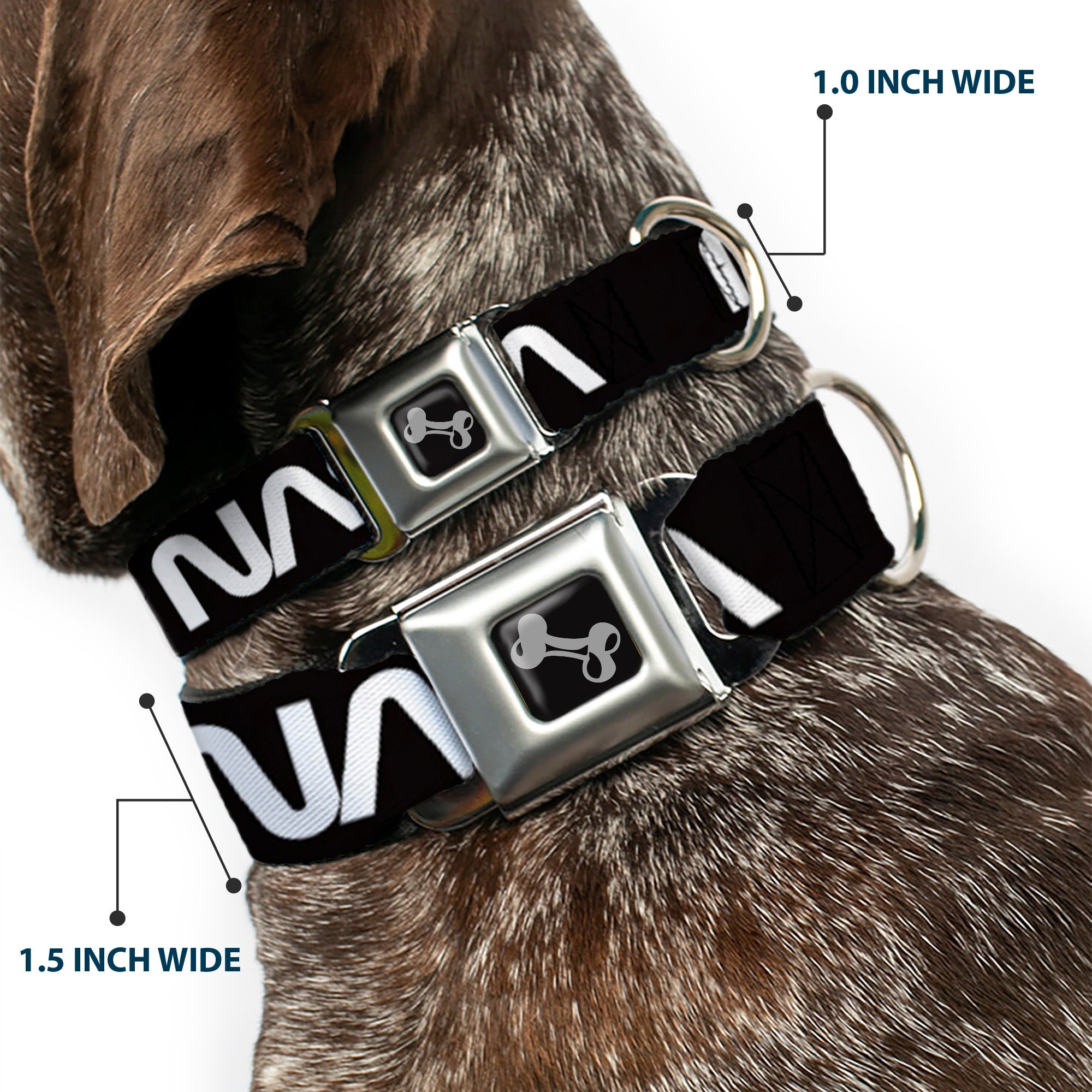 Dog Bone Black/Silver Seatbelt Buckle Collar - NASA Text Black/White