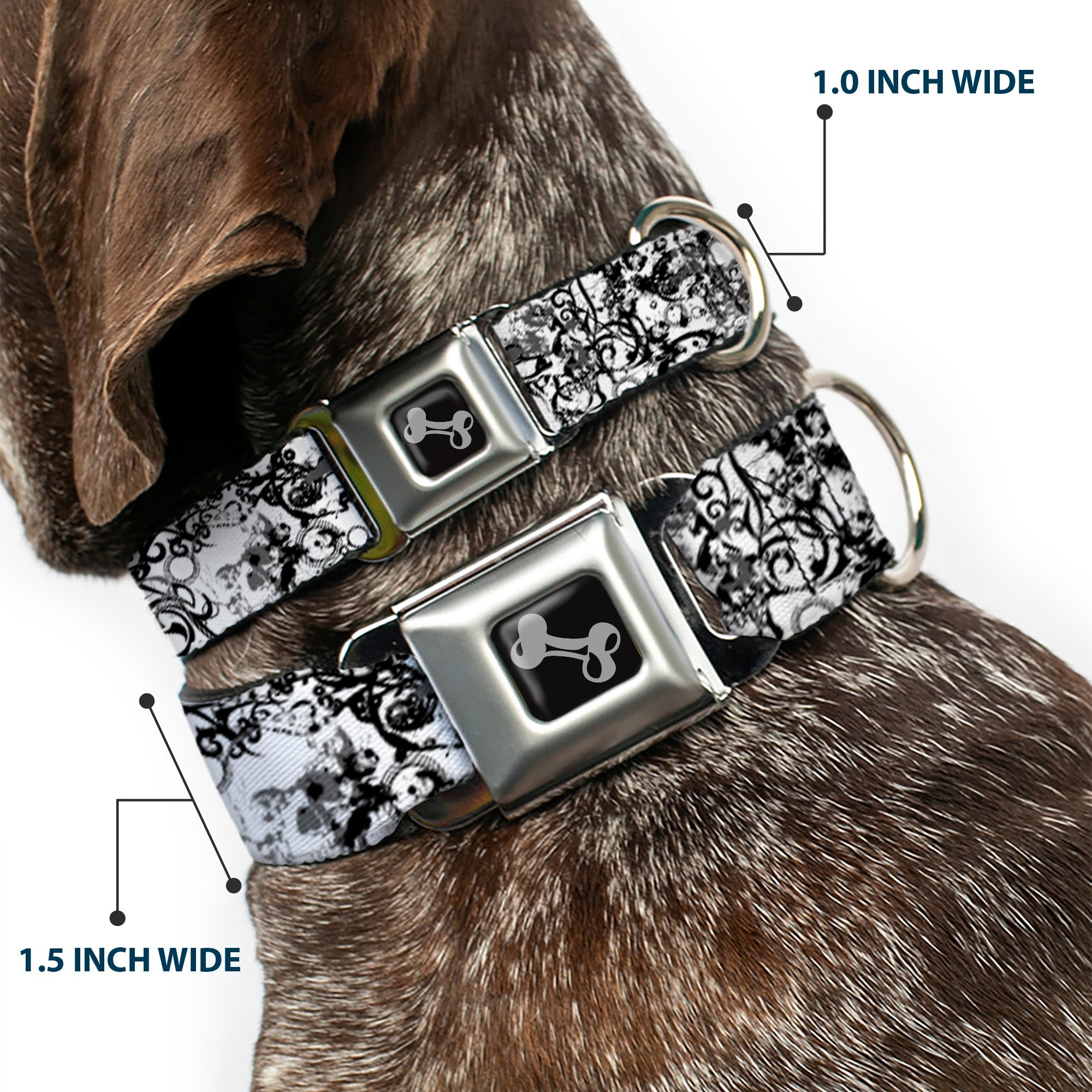 Dog Bone Seatbelt Buckle Collar - Orthodox Chaos