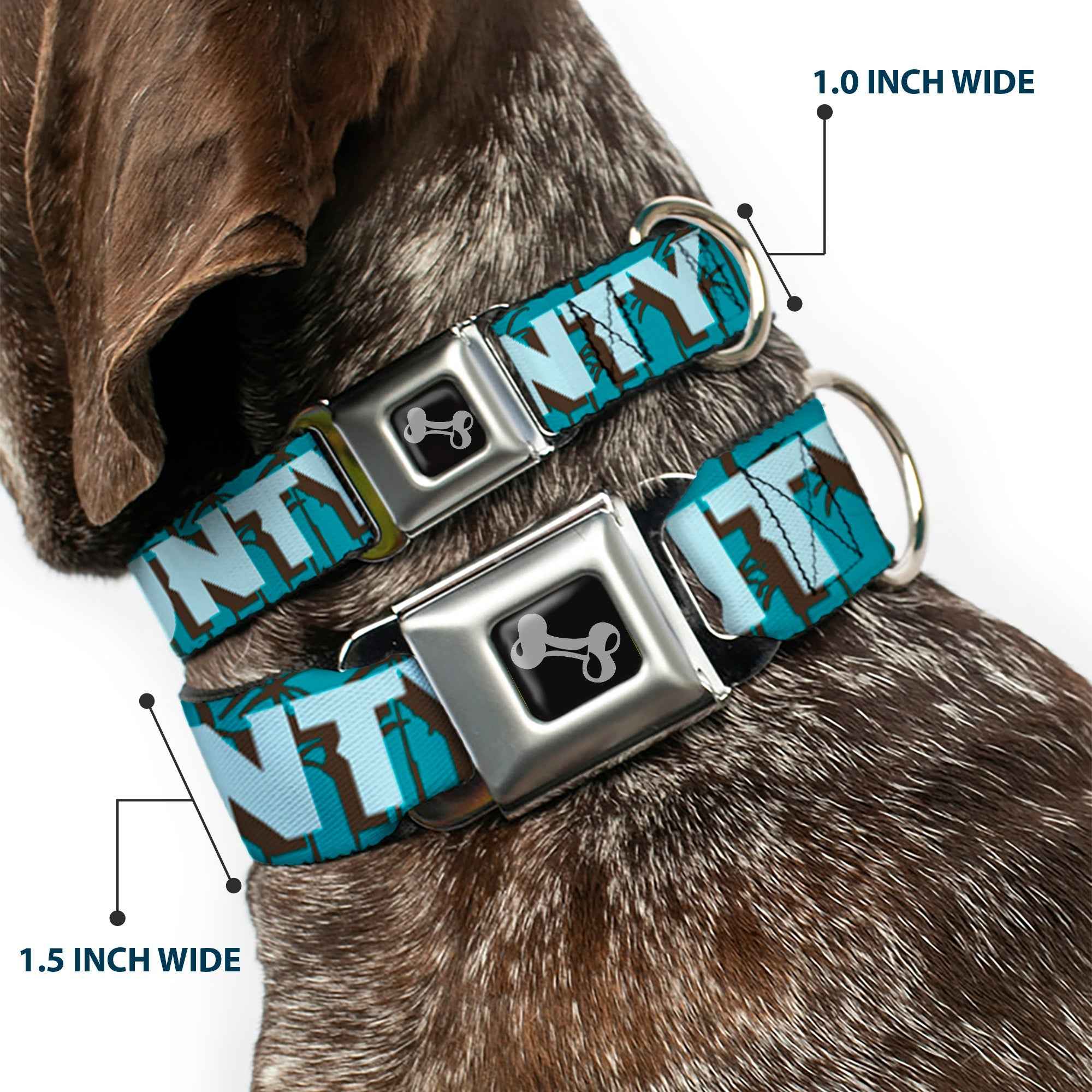 Buckle-Down Orange County/Palm Trees Blue/Brown/Light Blue Seatbelt Buckle Dog Collar