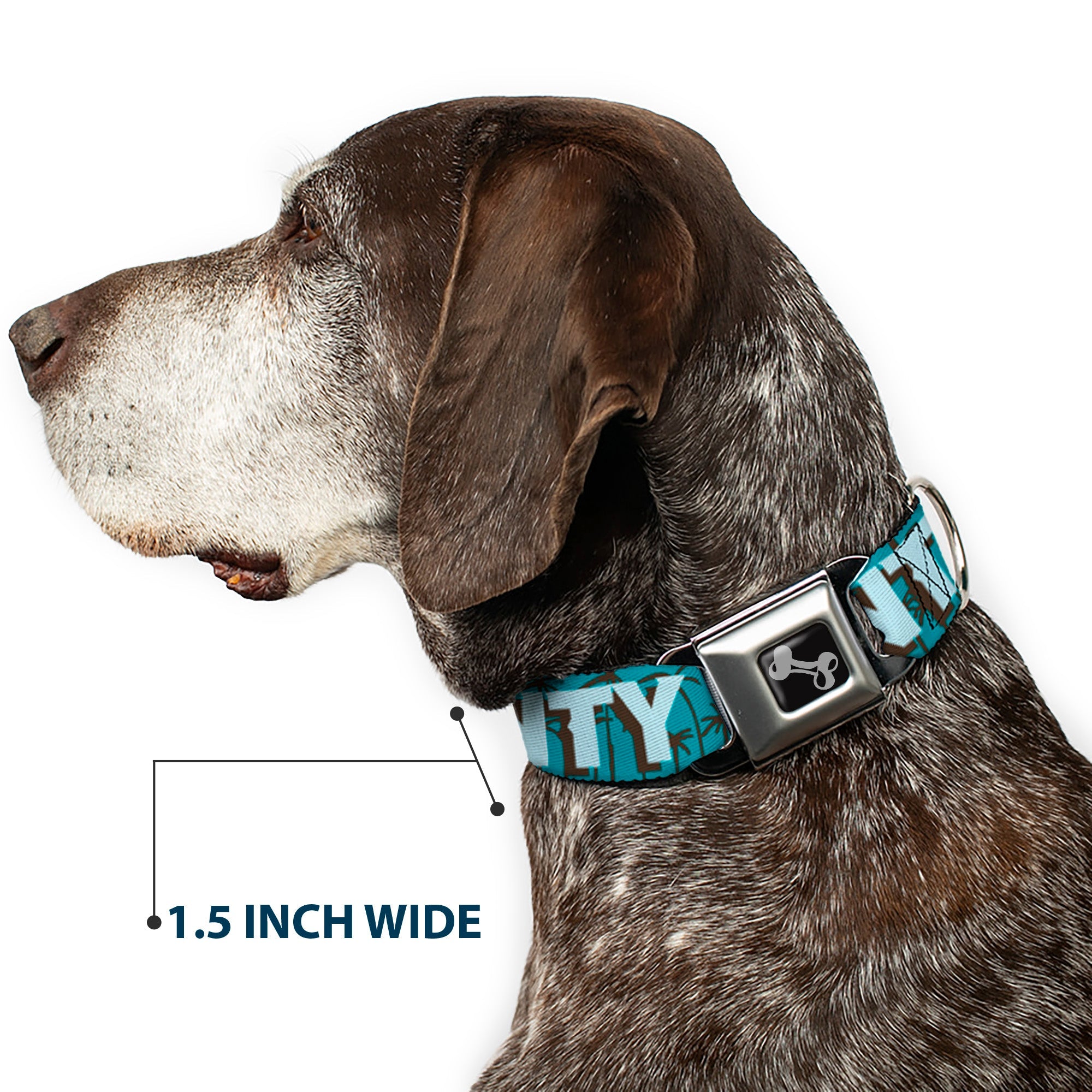 Buckle-Down Orange County/Palm Trees Blue/Brown/Light Blue Seatbelt Buckle Dog Collar