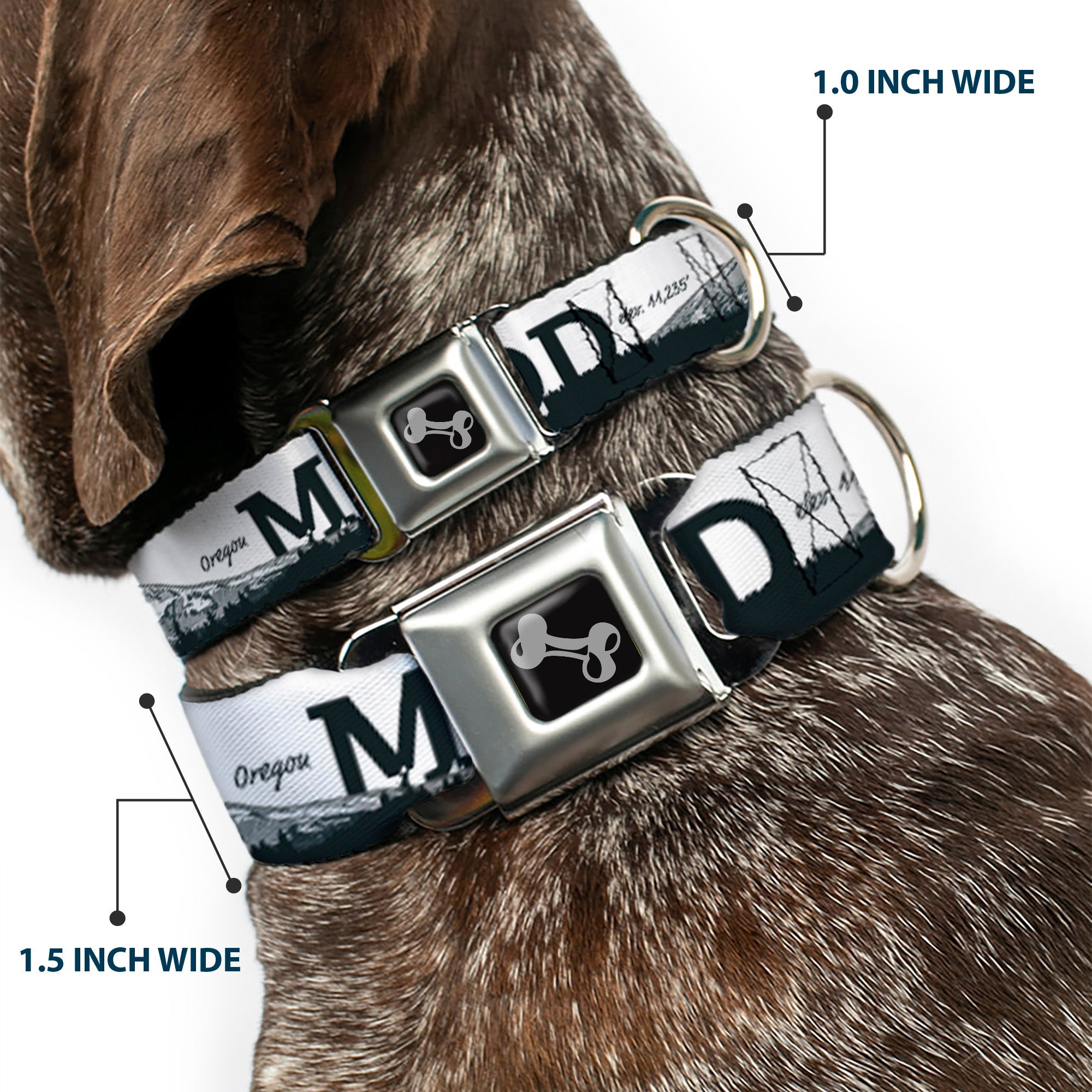 Dog Bone Seatbelt Buckle Collar - Oregon MT. HOOD Scenery White/Grays
