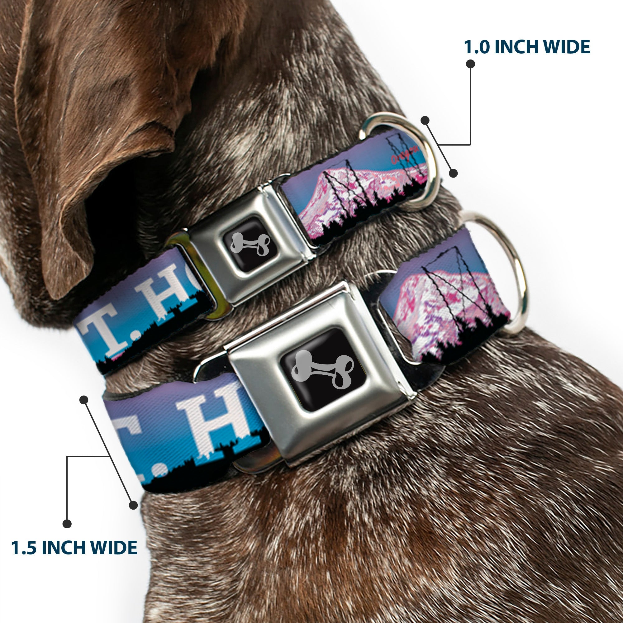Dog Bone Seatbelt Buckle Collar - Oregon MT. HOOD Scenery Blues/Purples/Black/White