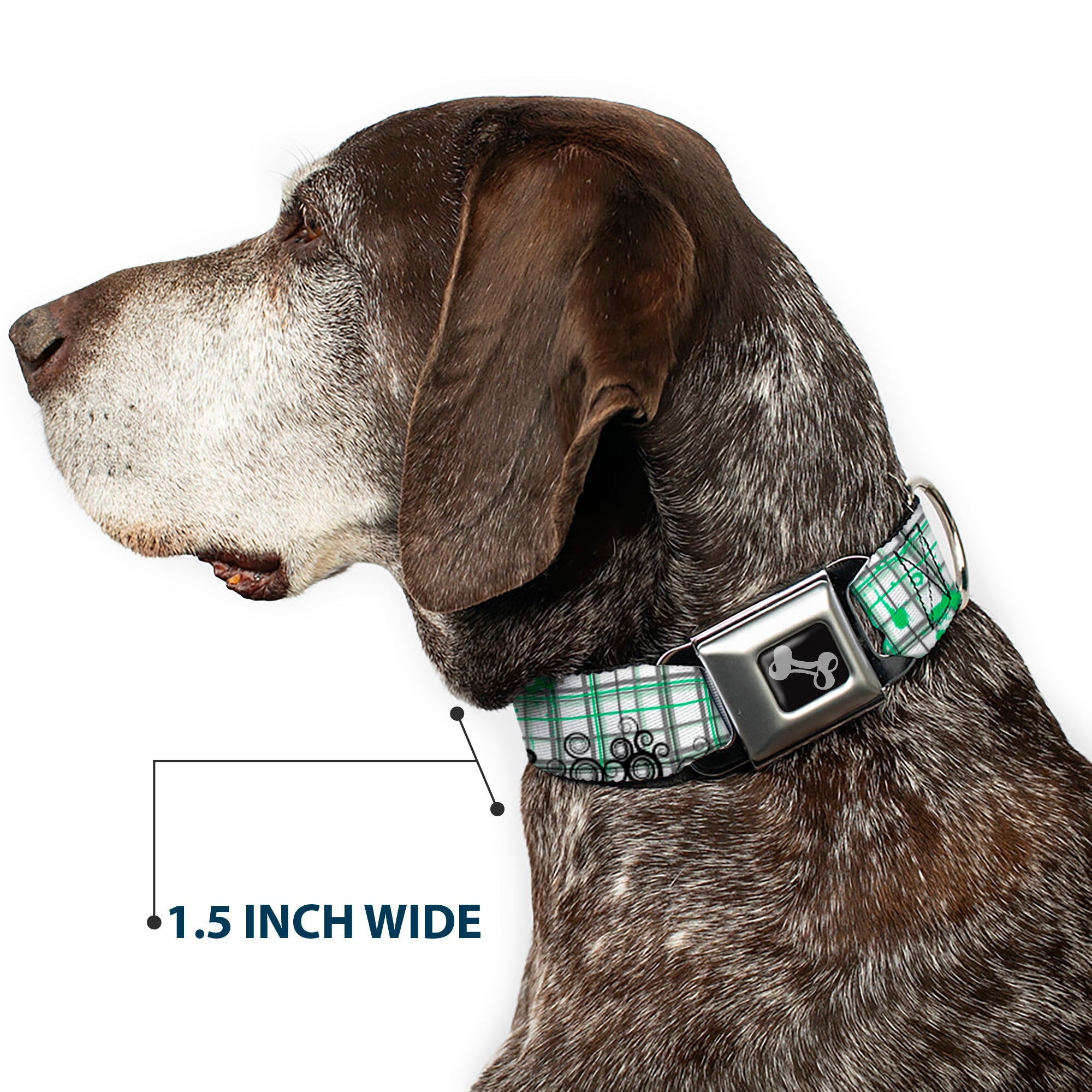 Dog Bone Seatbelt Buckle Collar - Plaid Curls White/Black/Gray/Green