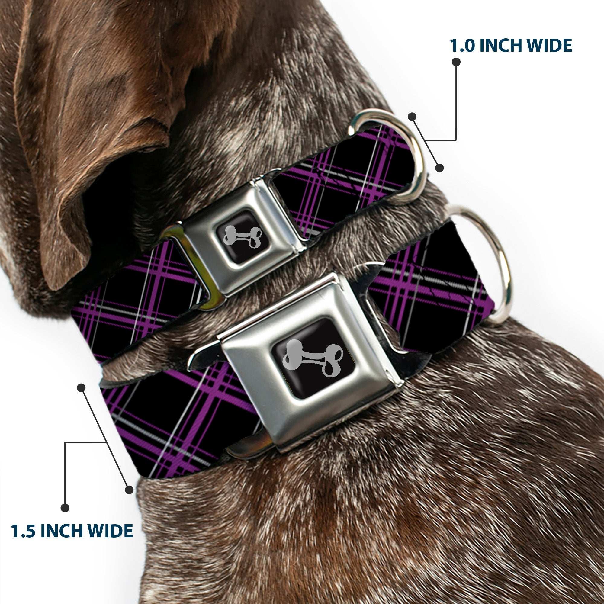 Dog Bone Seatbelt Buckle Collar - Plaid Black/Purple/Gray