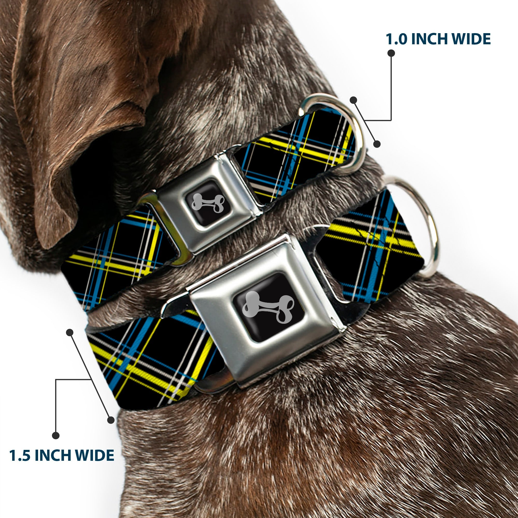 Dog Bone Seatbelt Buckle Collar - Plaid Black/Yellow/Turquoise/Gray