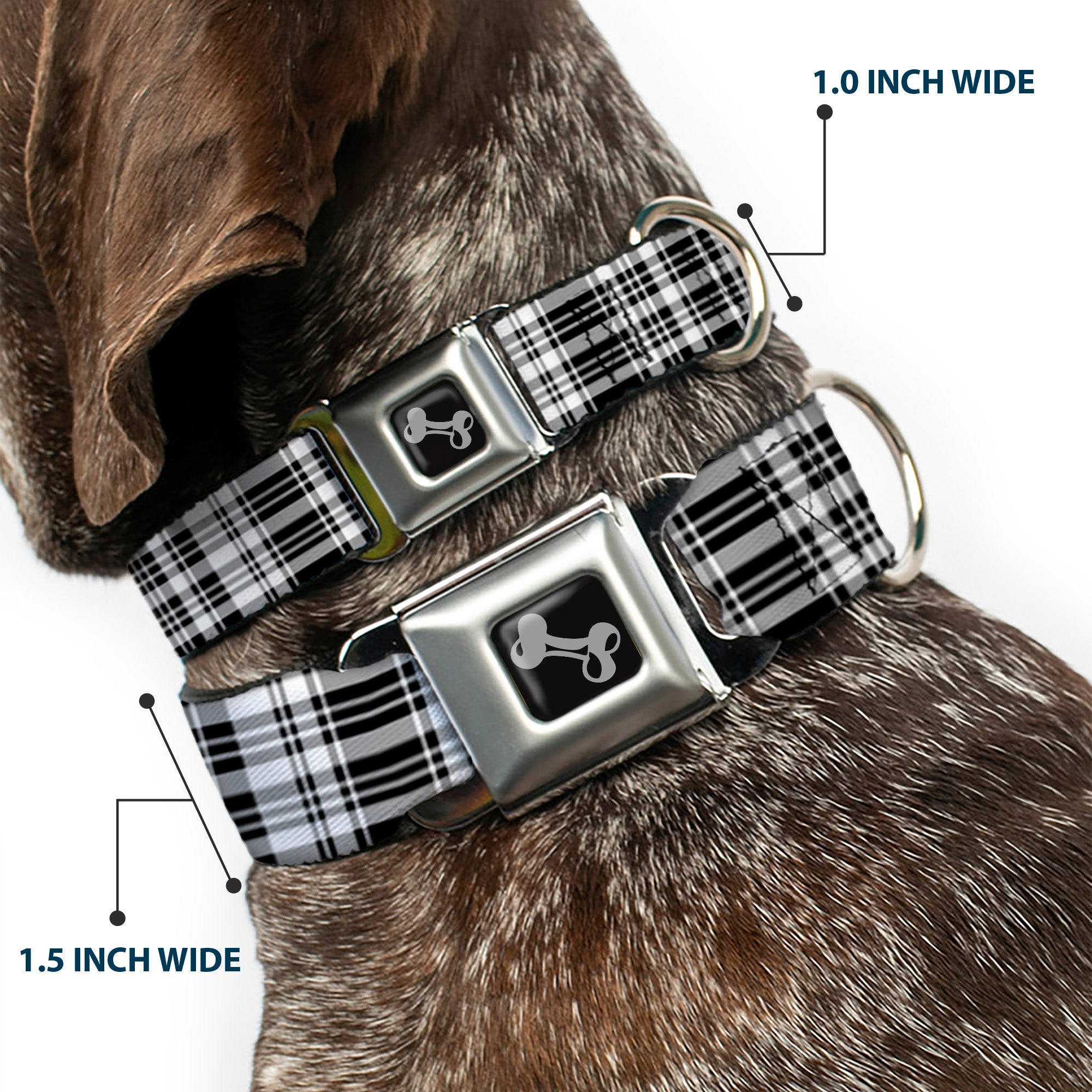 Dog Bone Seatbelt Buckle Collar - Plaid Black/White