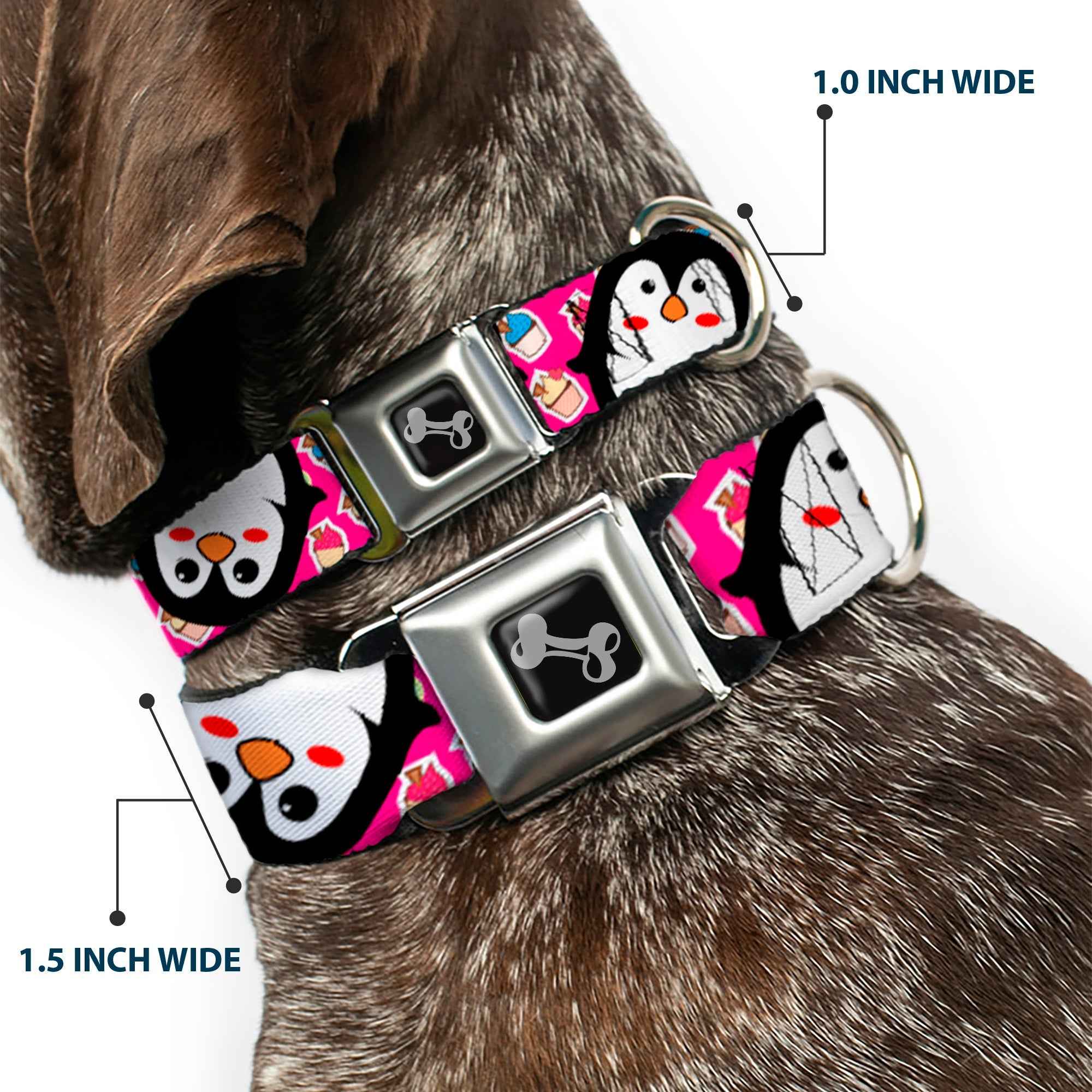 Buckle-Down Dog Bone Black/Silver Seatbelt Buckle Dog Collar - Penguins w/Cupcakes Fuchsia/Purple/White