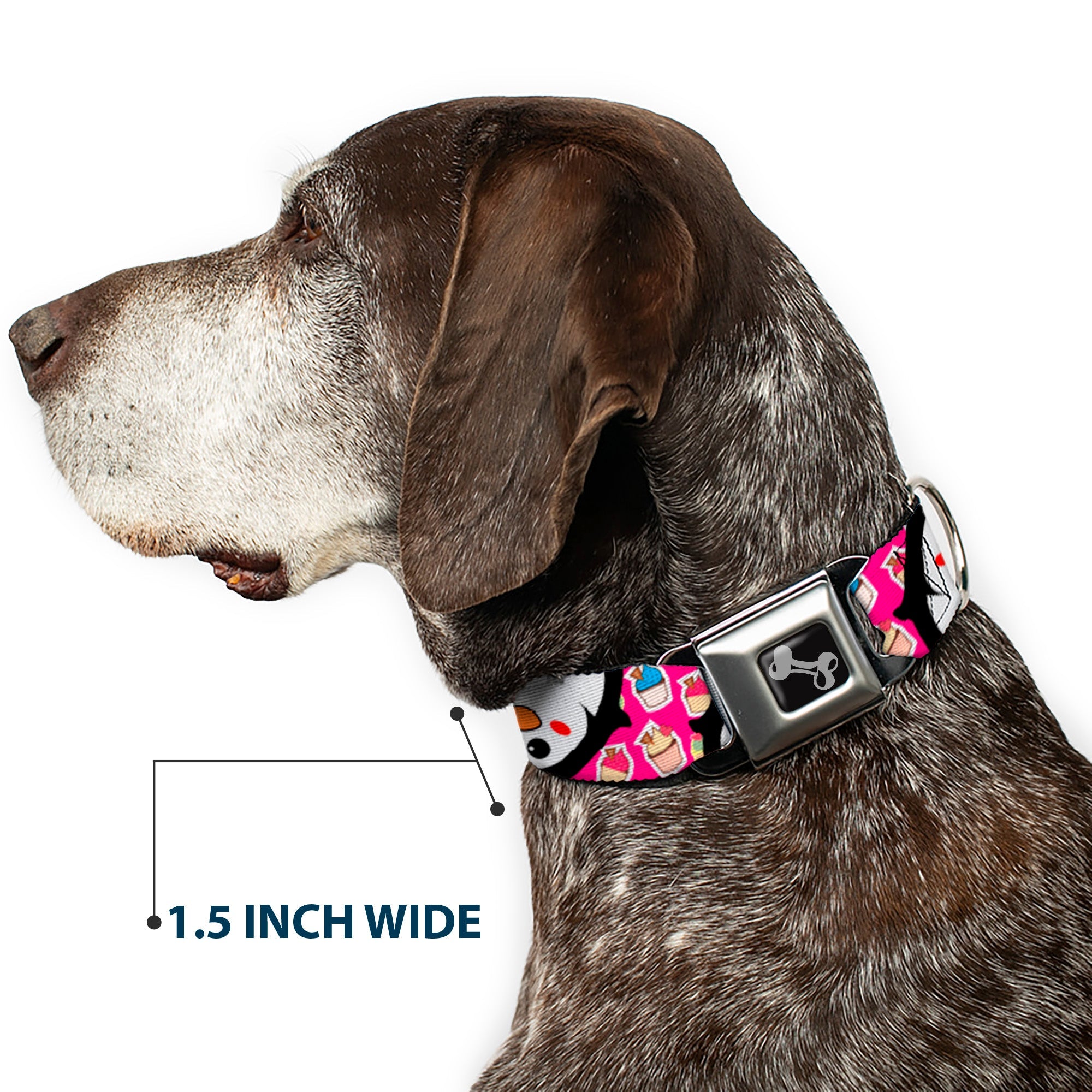 Buckle-Down Dog Bone Black/Silver Seatbelt Buckle Dog Collar - Penguins w/Cupcakes Fuchsia/Purple/White