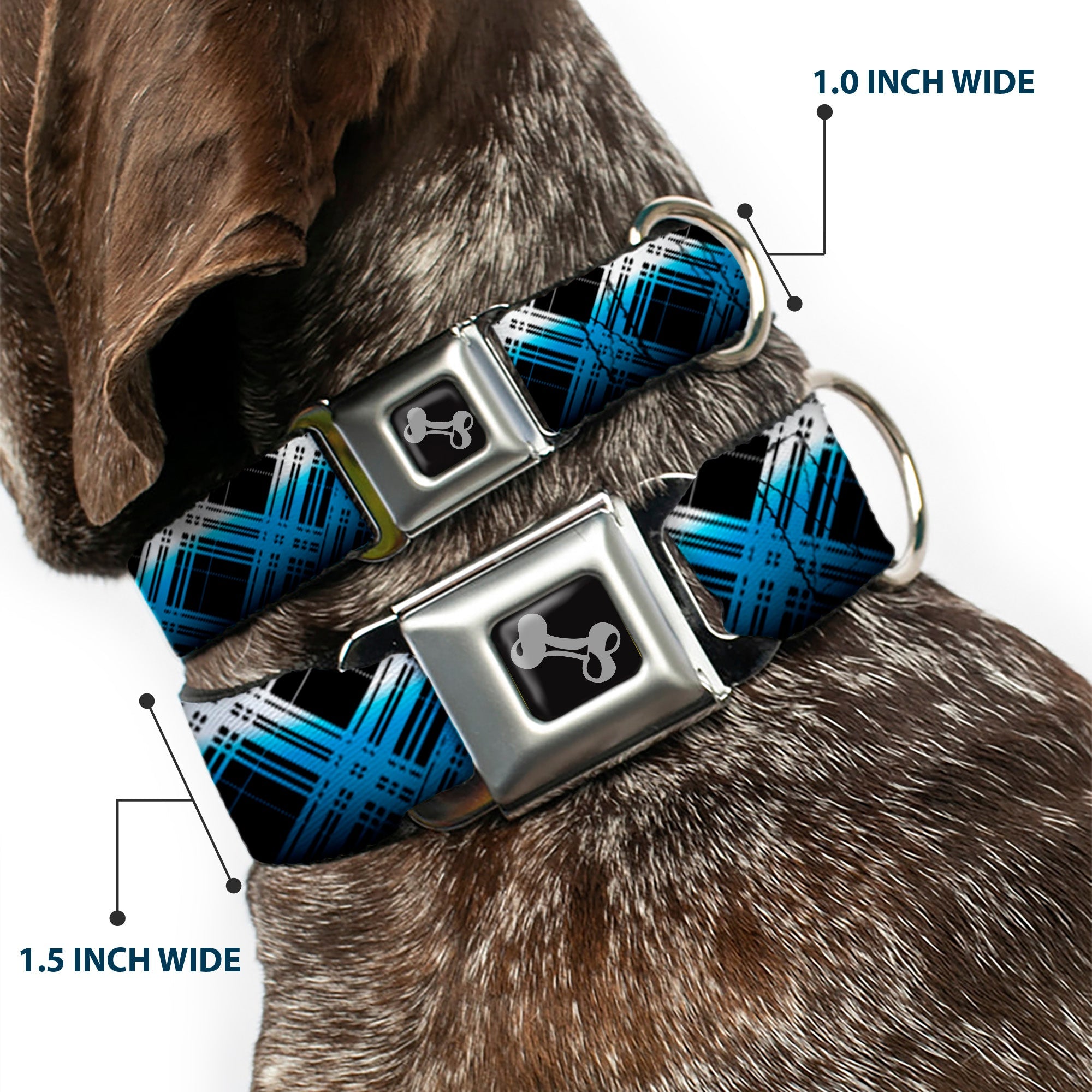Dog Bone Seatbelt Buckle Collar - Plaid X Gradient Black/White/Blue