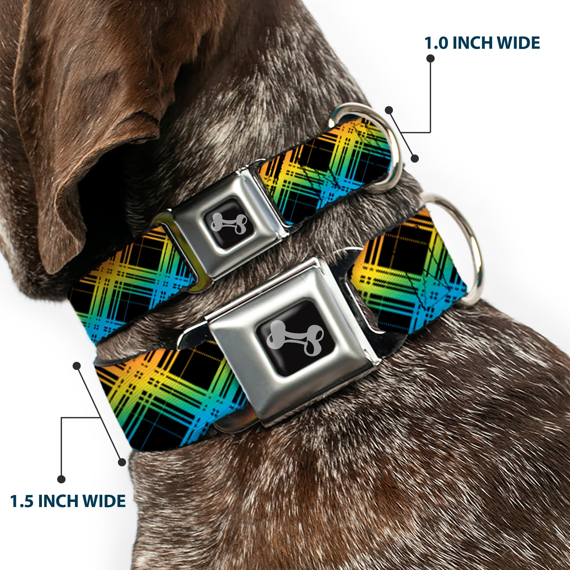 Dog Bone Seatbelt Buckle Collar - Plaid X Gradient Black/Orange/Green/Blue