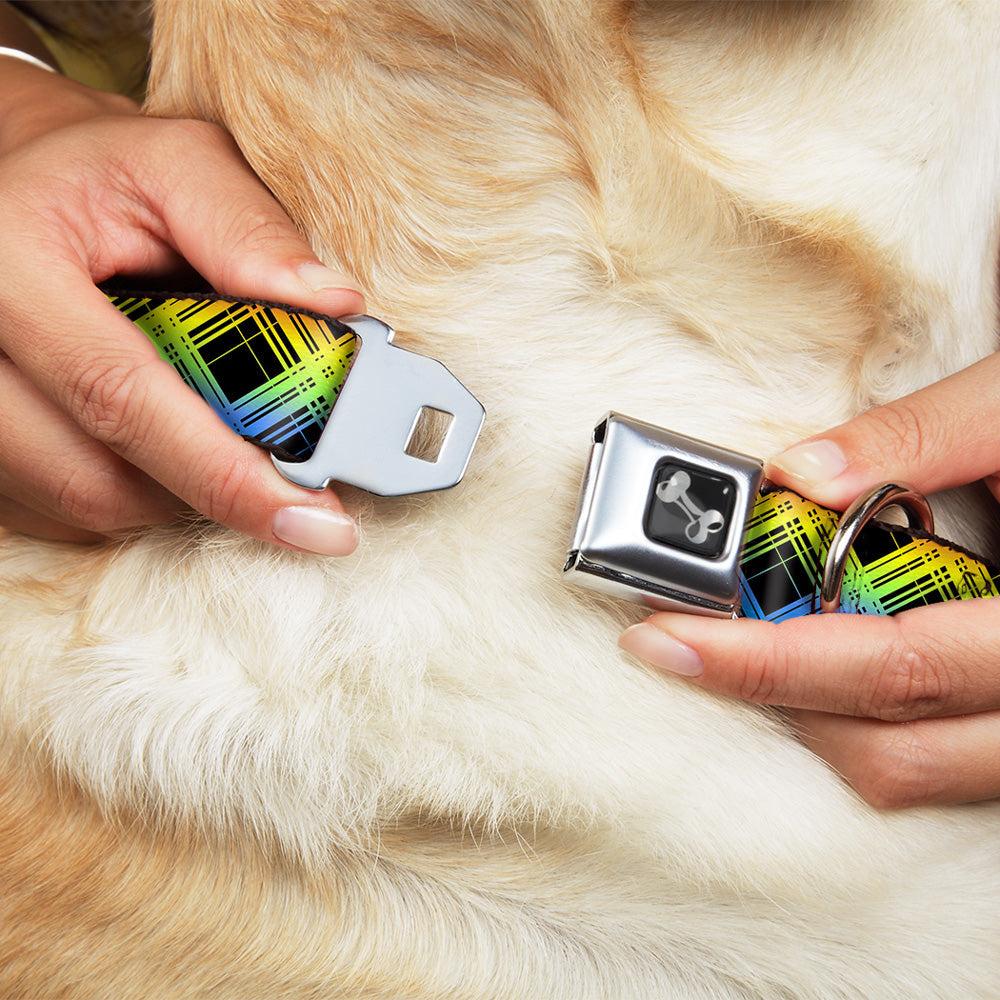Dog Bone Seatbelt Buckle Collar - Plaid X Gradient Black/Orange/Green/Blue