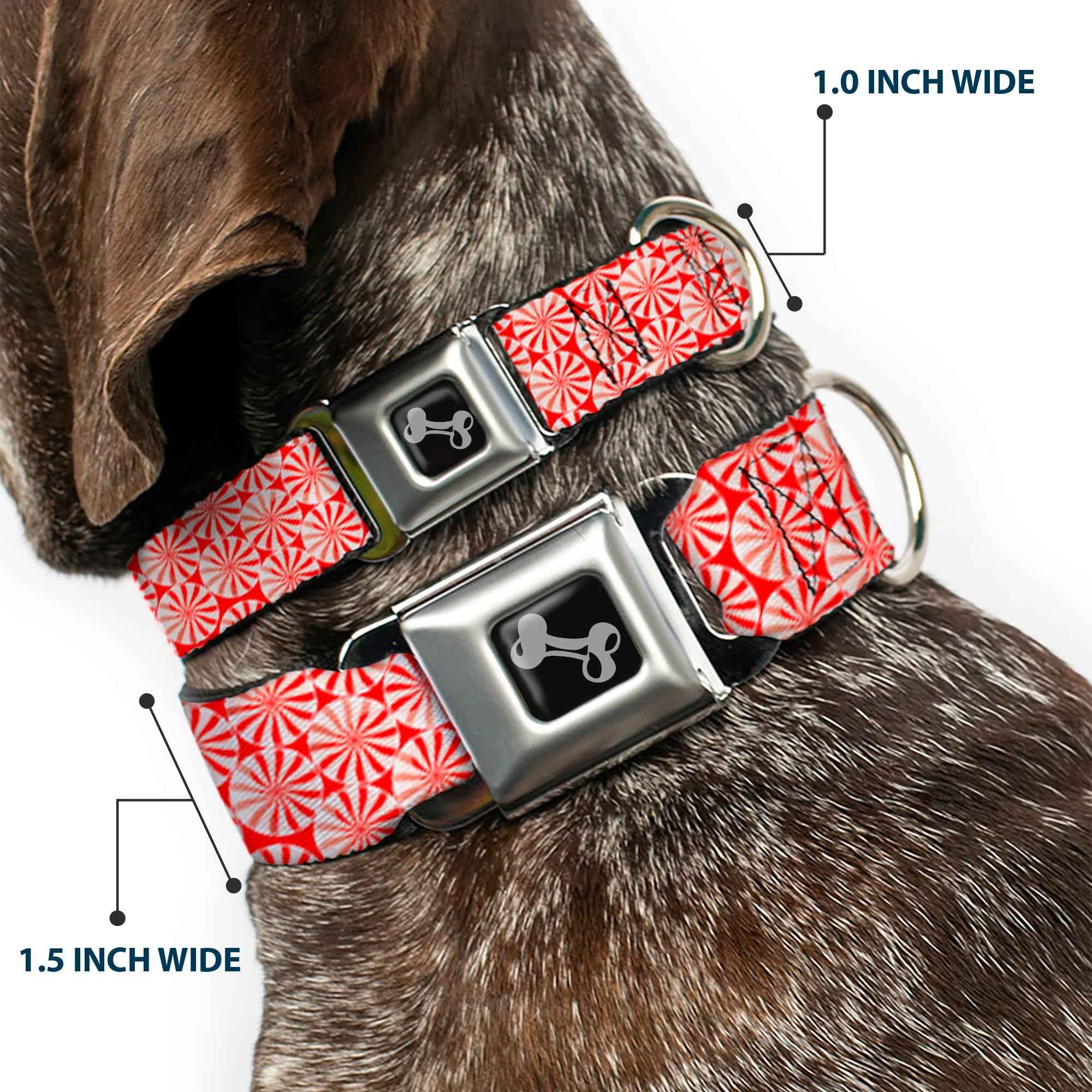Buckle-Down Peppermint Candies Seatbelt Buckle Dog Collar