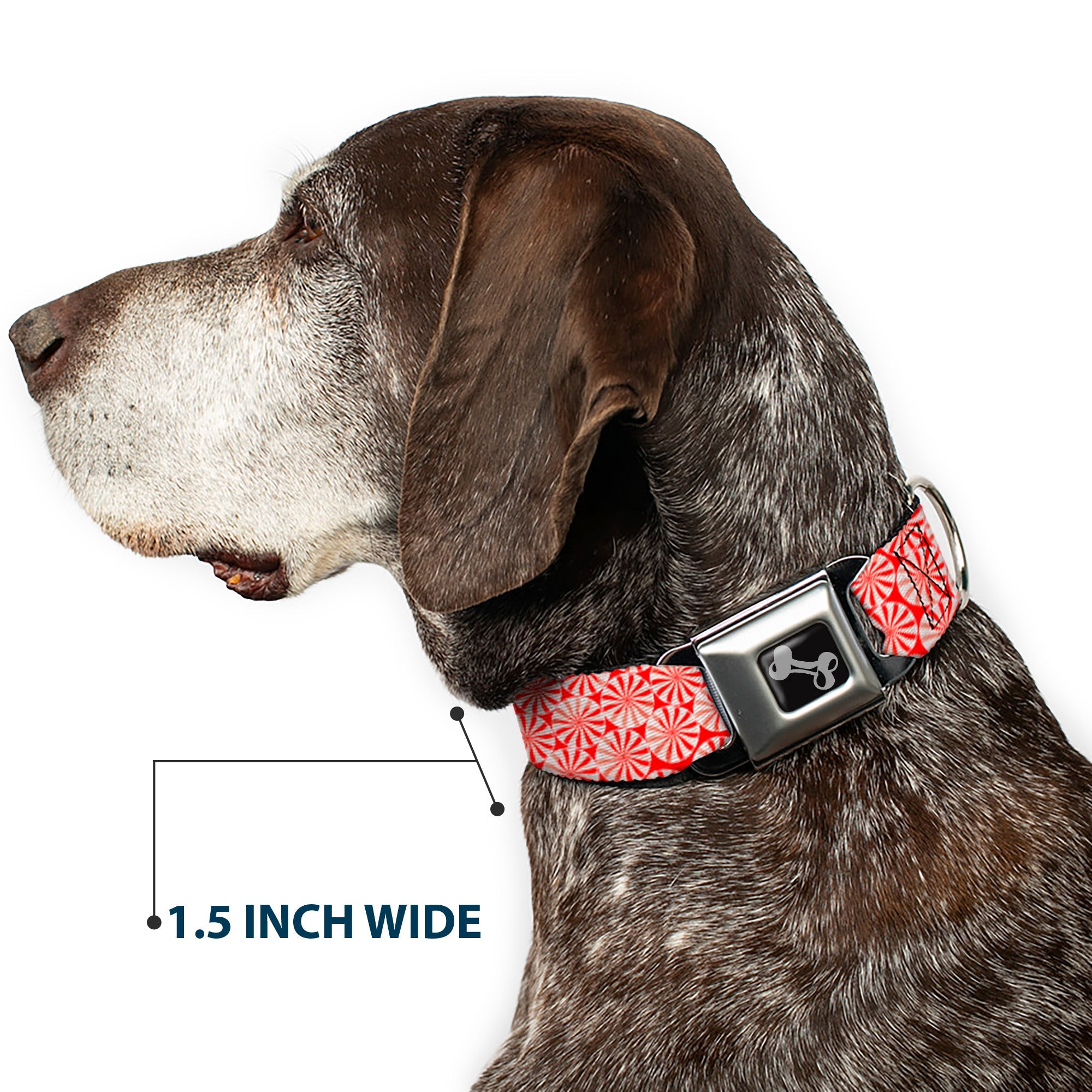 Buckle-Down Peppermint Candies Seatbelt Buckle Dog Collar