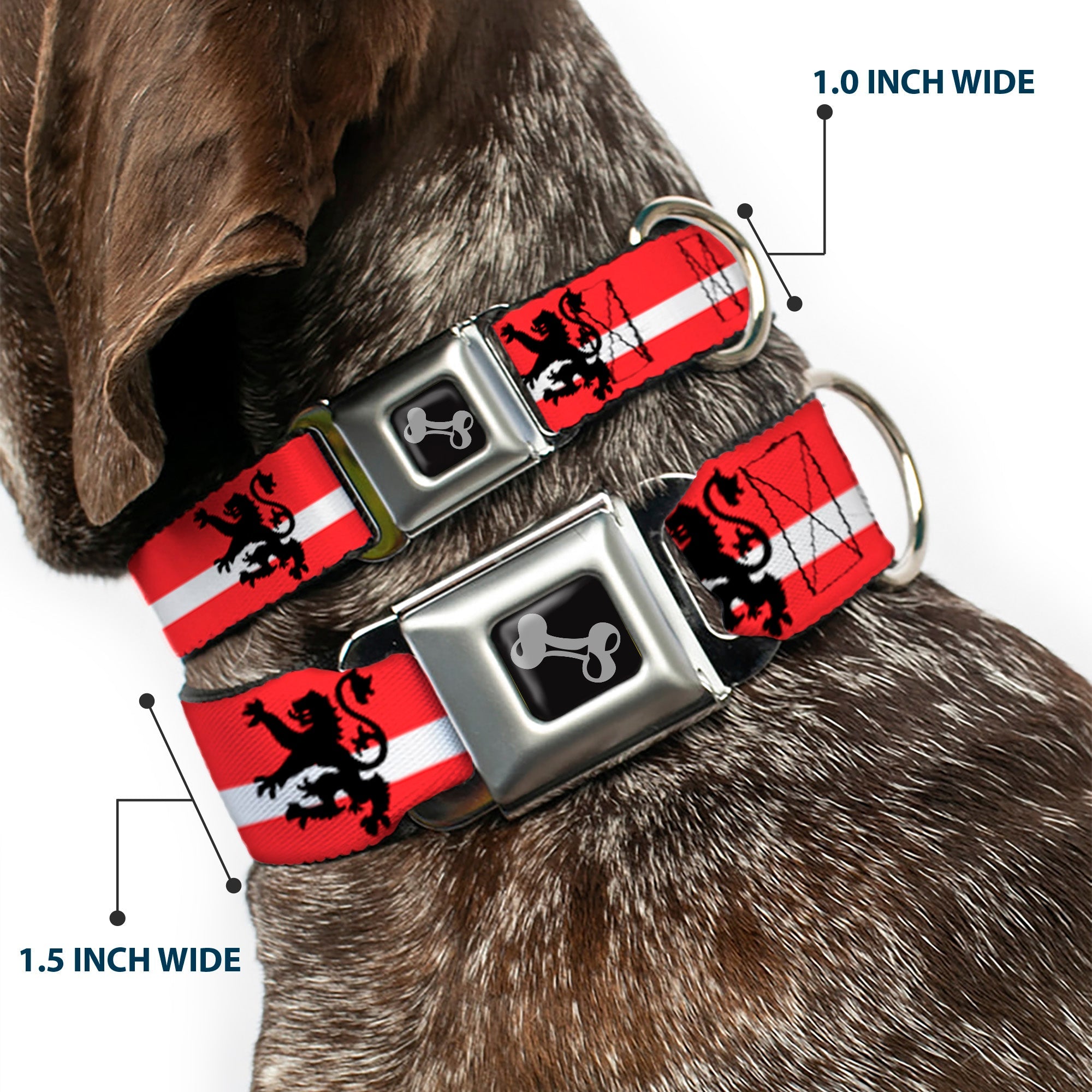 Dog Bone Seatbelt Buckle Collar - Rampant Lion Repeat/Stripes Red/White/Black