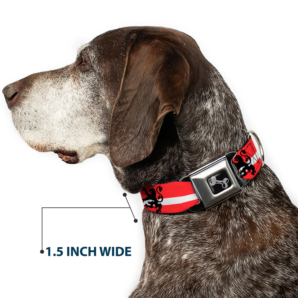 Dog Bone Seatbelt Buckle Collar - Rampant Lion Repeat/Stripes Red/White/Black