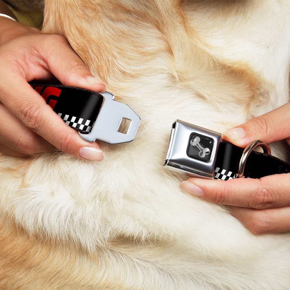 Dog Bone Seatbelt Buckle Collar - RACING w/Checker Black/White/Red