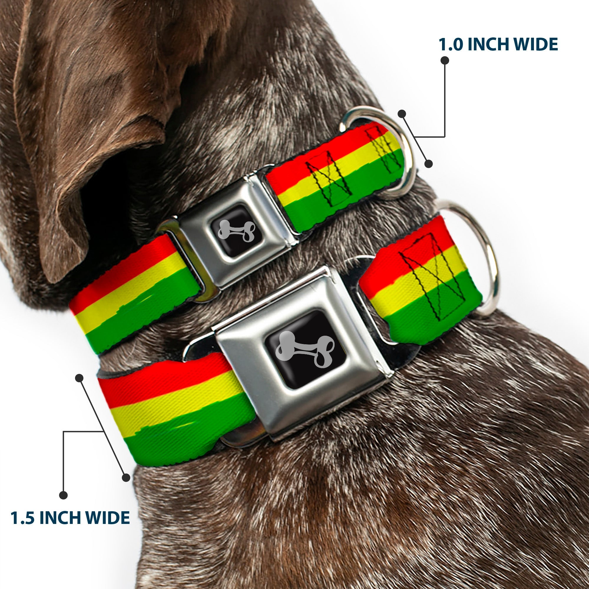 Dog Bone Seatbelt Buckle Collar - Rasta Stripes Painted Green/Yellow/Red