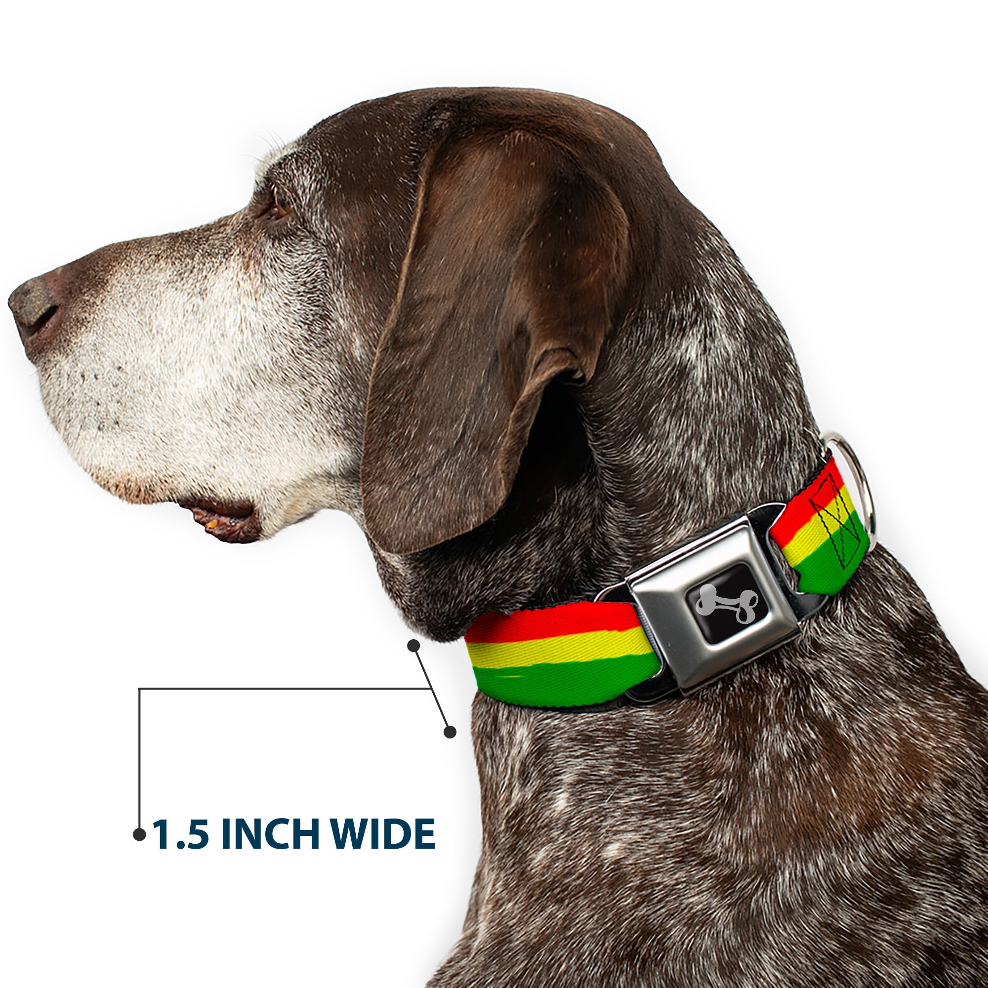 Dog Bone Seatbelt Buckle Collar - Rasta Stripes Painted Green/Yellow/Red
