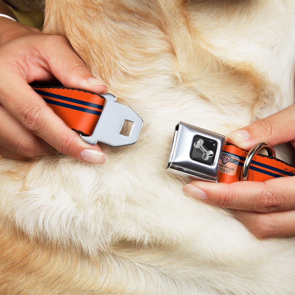 Dog Bone Seatbelt Buckle Collar - Racing Stripe Orange/Navy