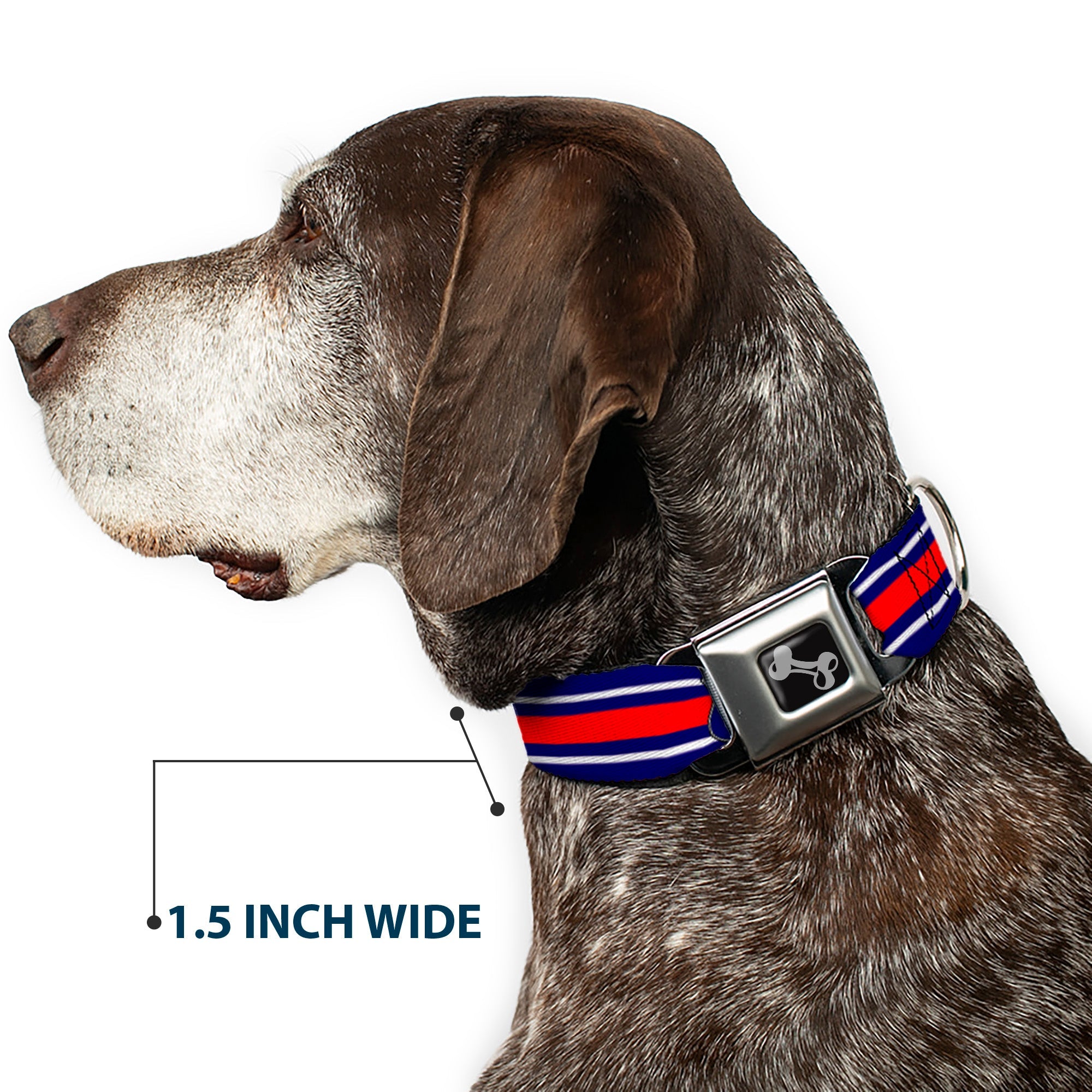 Dog Bone Seatbelt Buckle Collar - ROUTE 66 Highway Sign/Stripe Blue/White/Red
