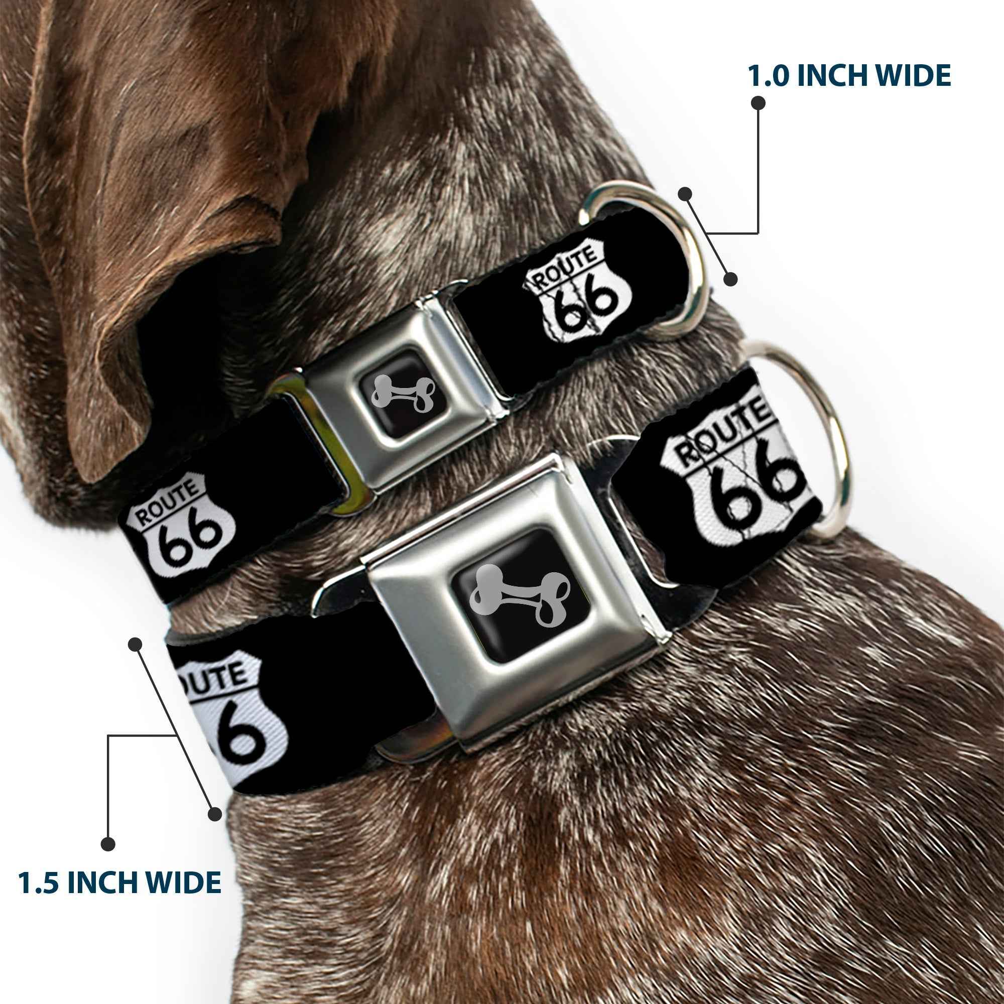 Buckle-Down Route 66 Highway Sign Repeat Black/White Seatbelt Buckle Dog Collar