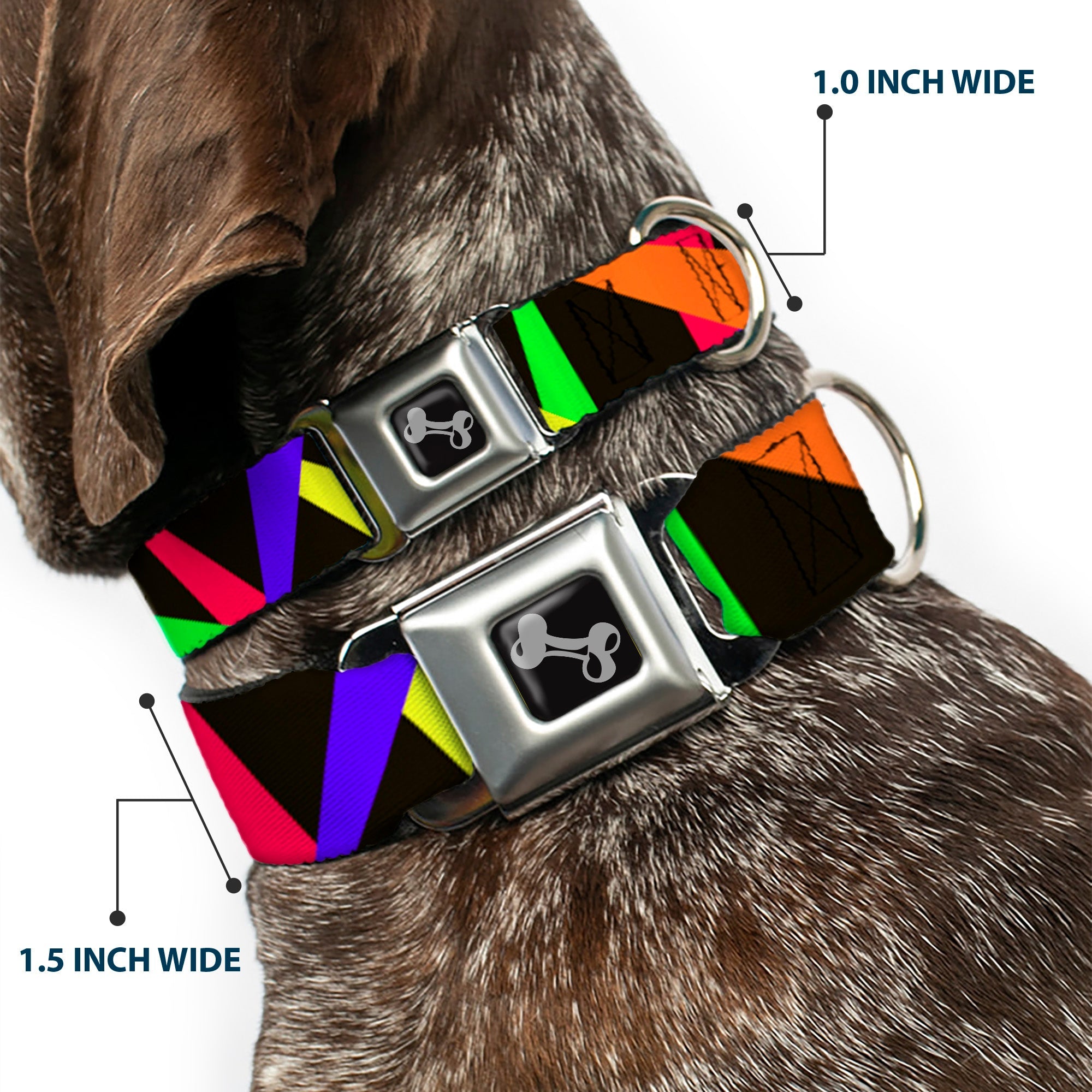 Dog Bone Seatbelt Buckle Collar - Spotlight Black/Multi Neon