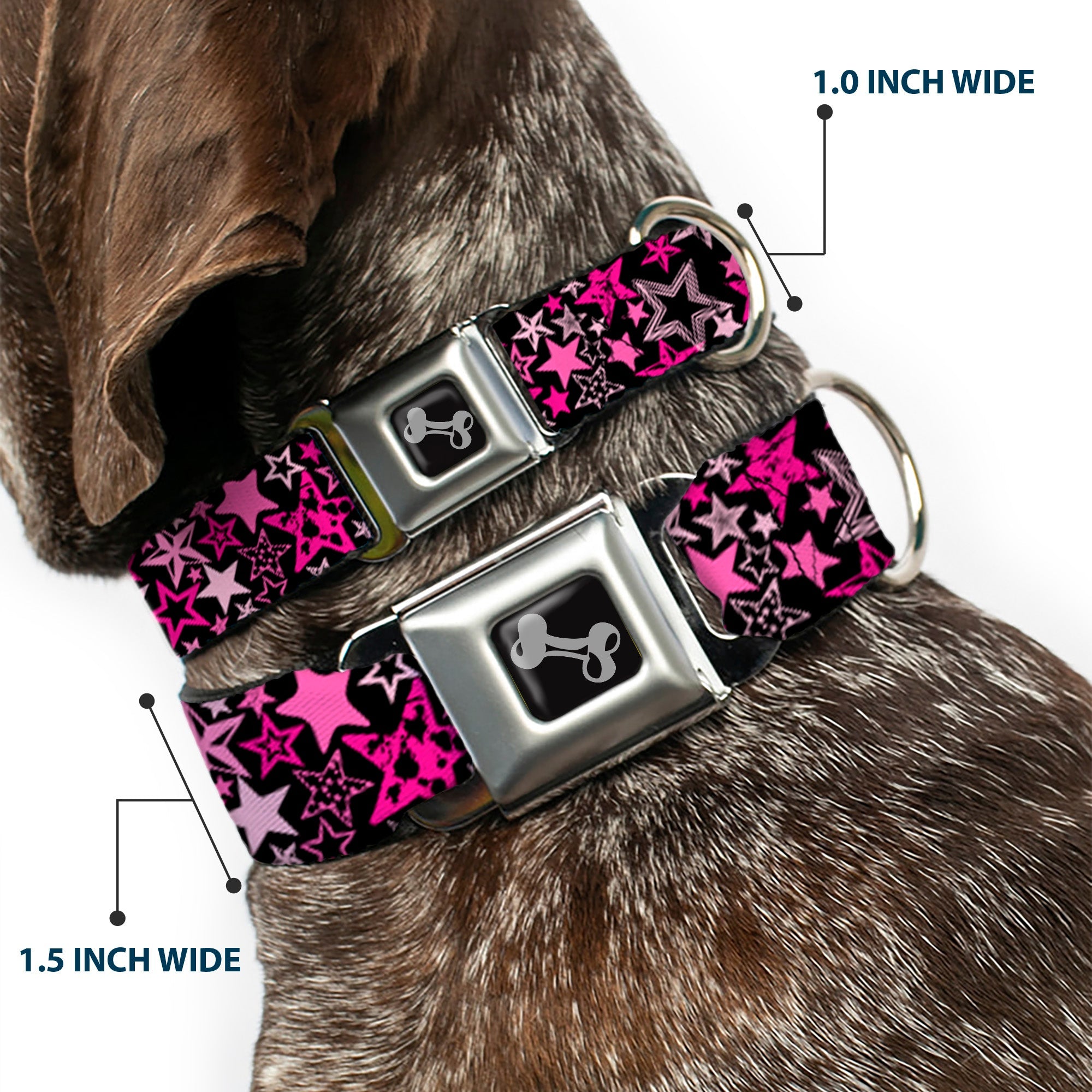 Dog Bone Seatbelt Buckle Collar - Stargazer Black/Pink