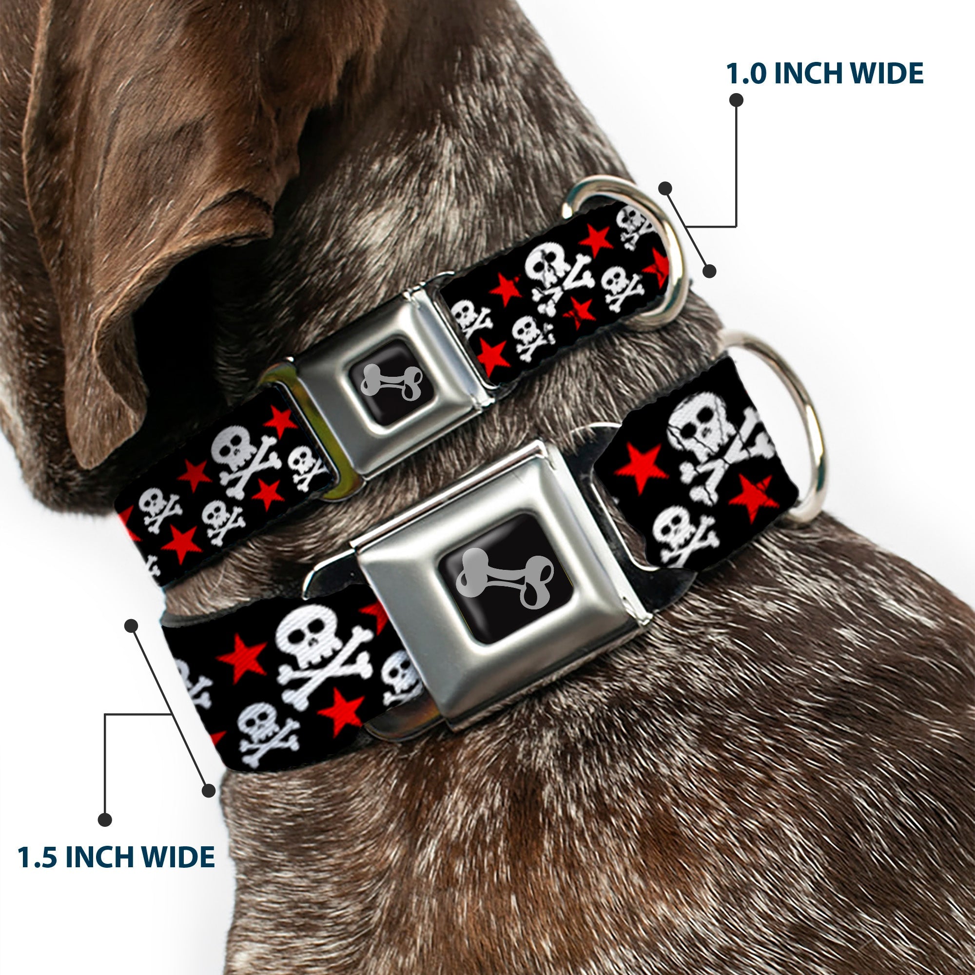 Dog Bone Seatbelt Buckle Collar - Skulls & Stars Black/White/Red