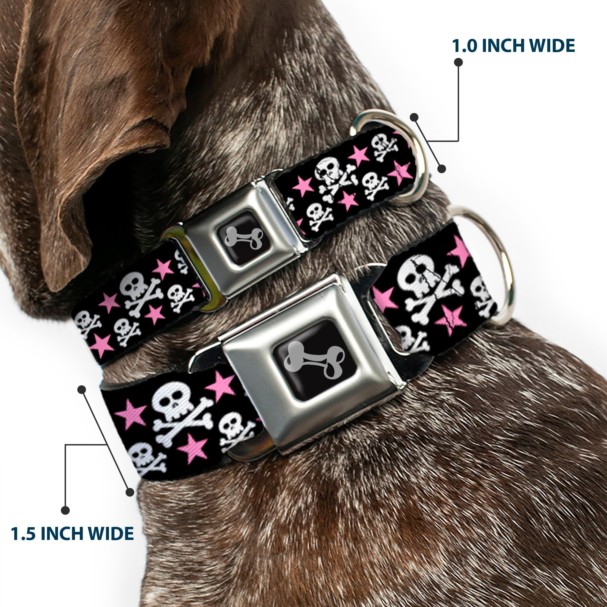 Dog Bone Seatbelt Buckle Collar - Skulls & Stars Black/White/Pink