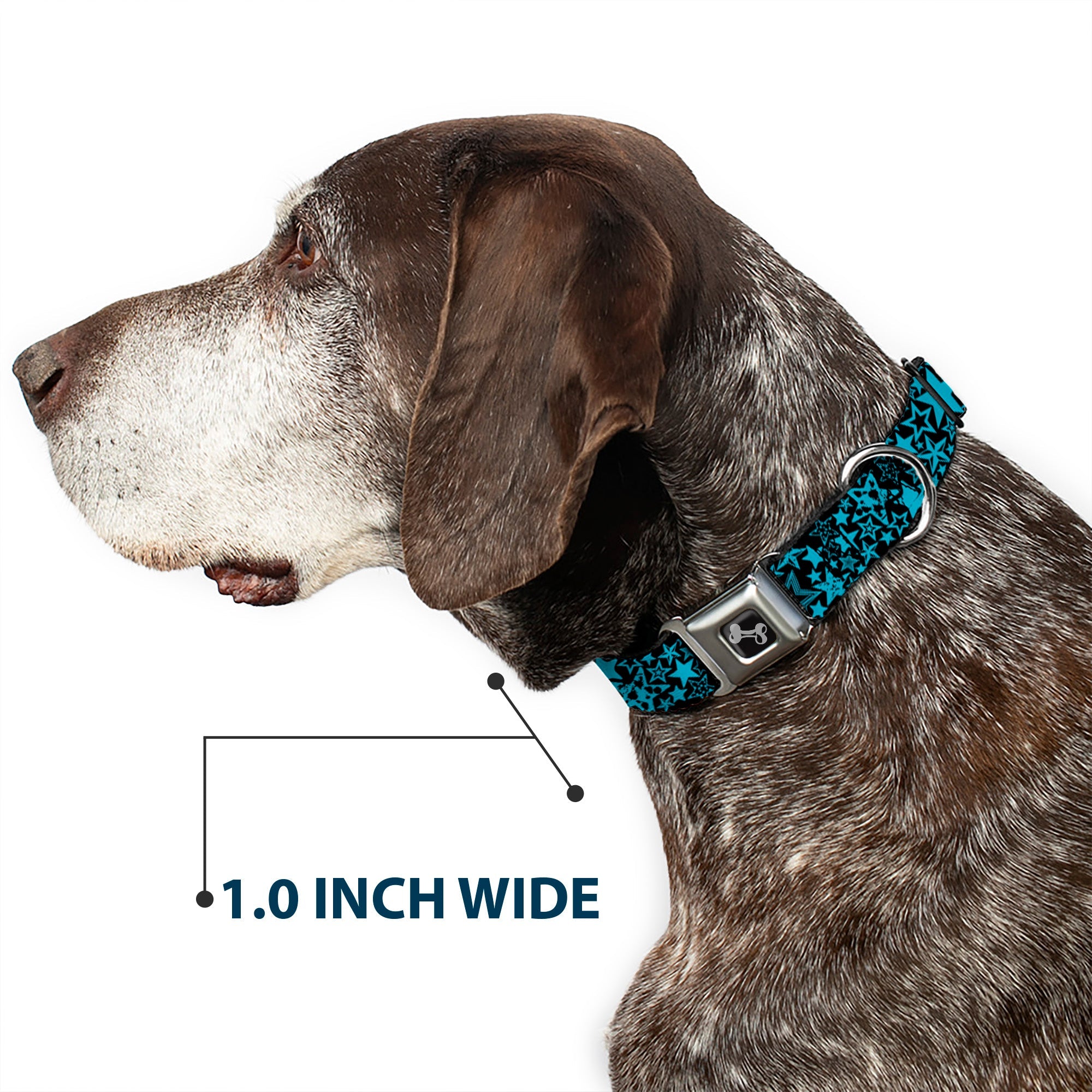 Buckle-Down Stargazer Black/Blue Seatbelt Buckle Dog Collar