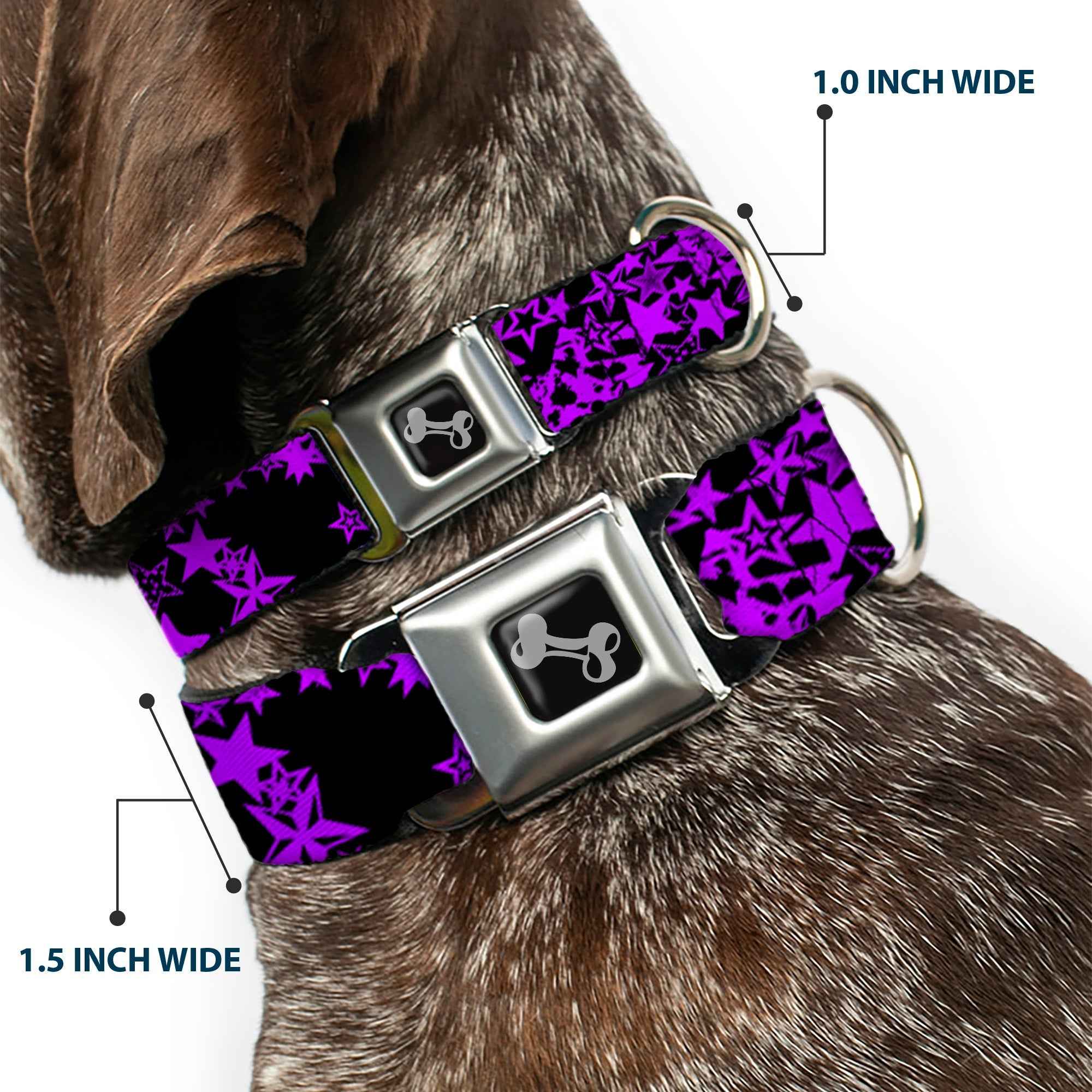 Buckle-Down Stargazer Black/Purple Seatbelt Buckle Dog Collar