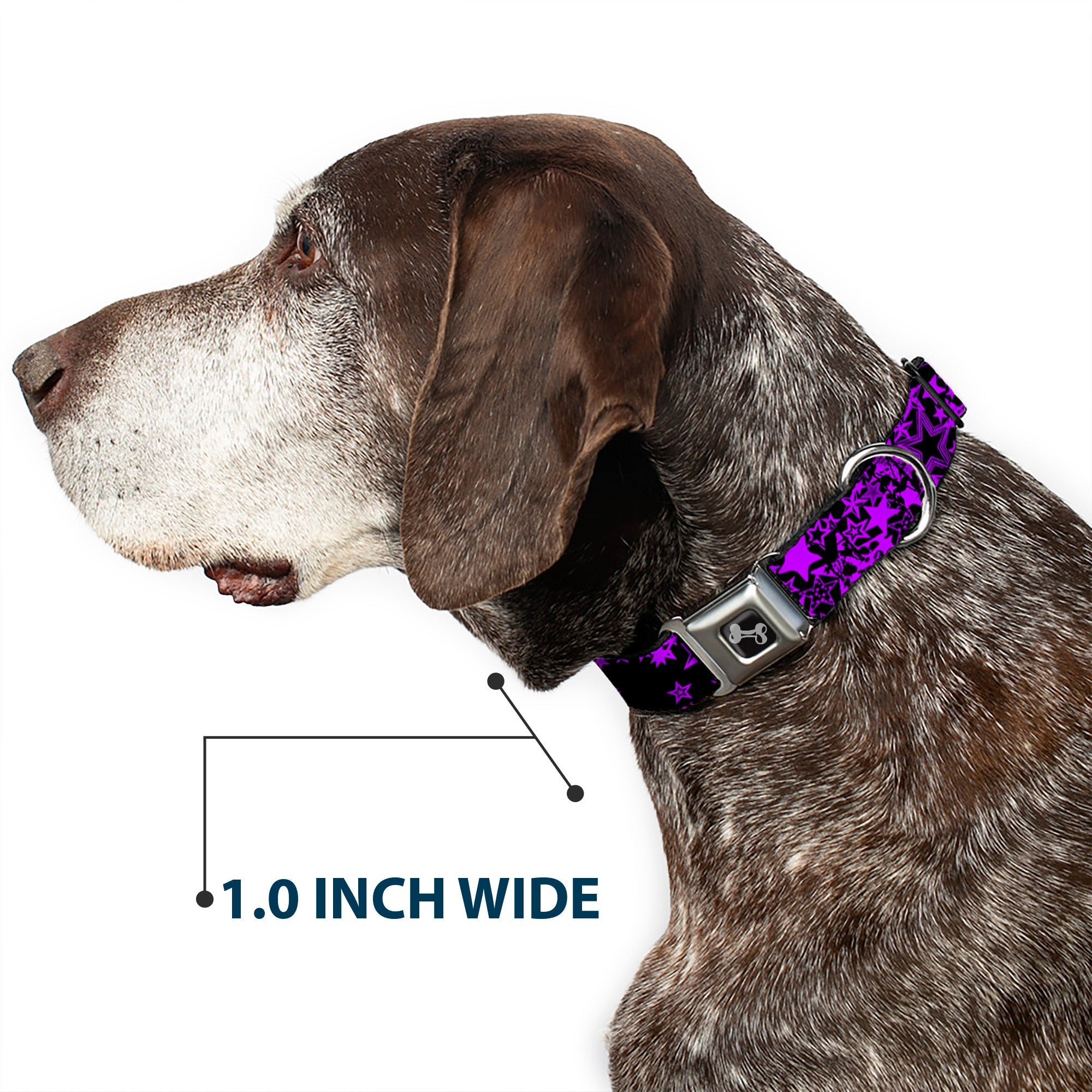 Buckle-Down Stargazer Black/Purple Seatbelt Buckle Dog Collar