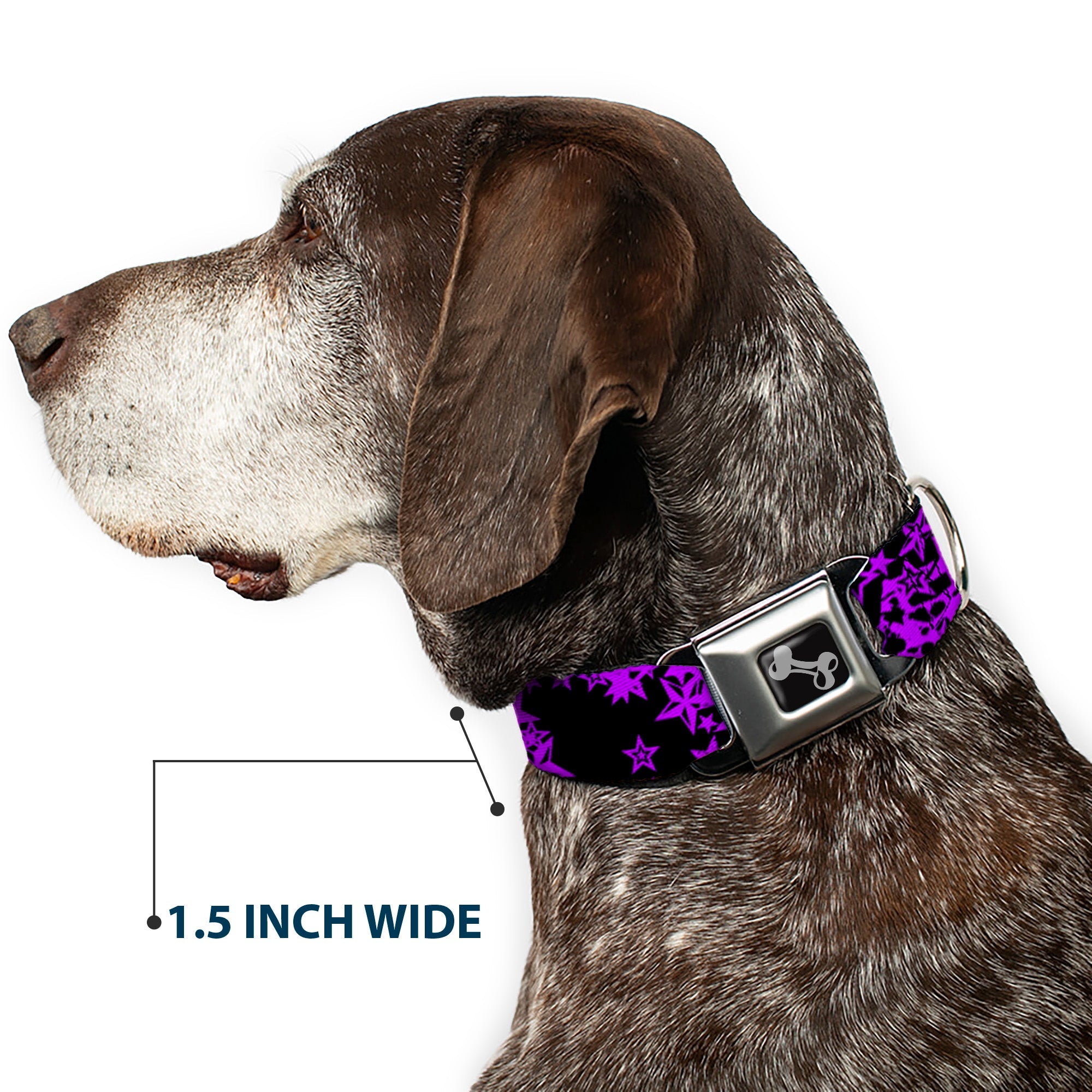 Buckle-Down Stargazer Black/Purple Seatbelt Buckle Dog Collar