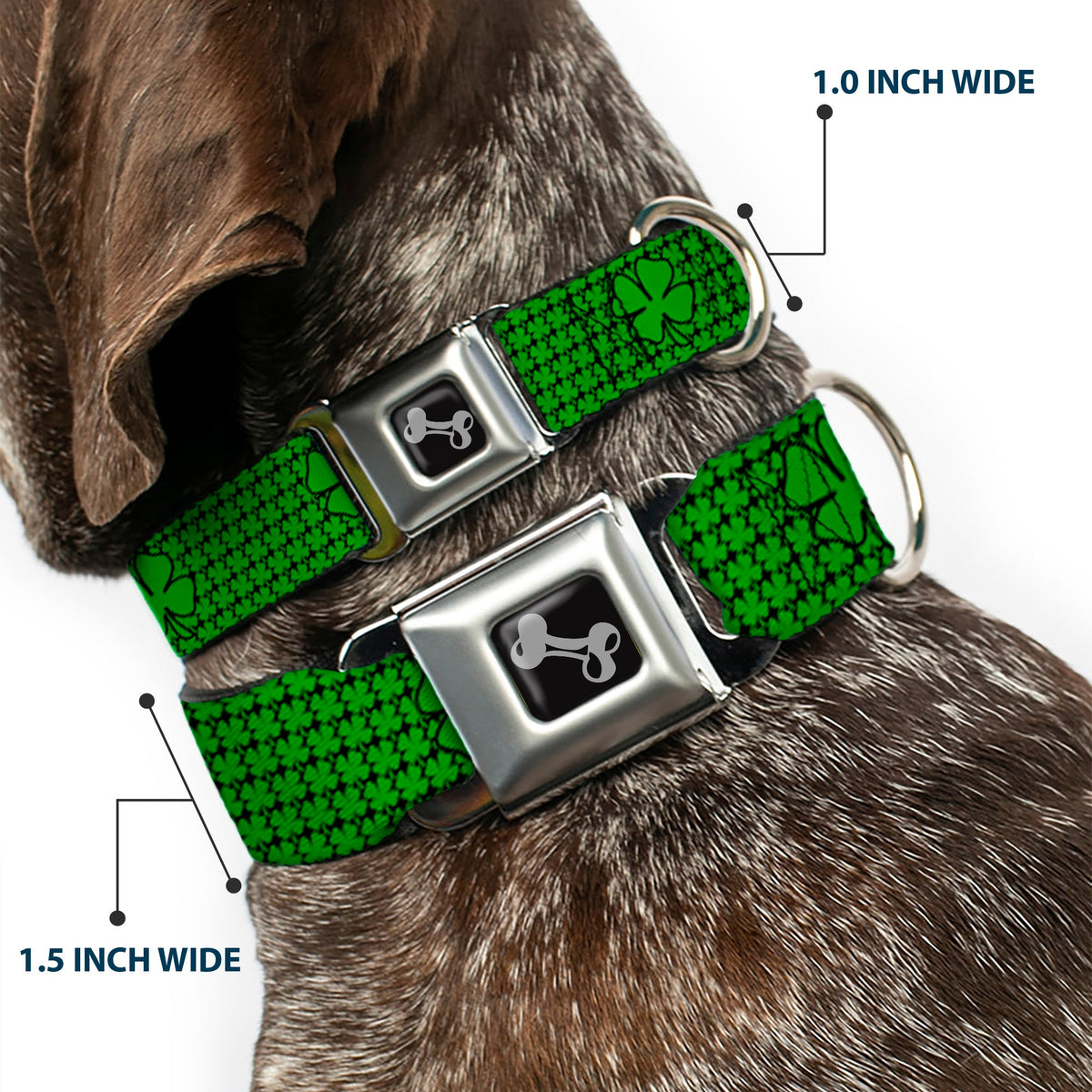 Dog Bone Seatbelt Buckle Collar - St. Pats Clovers/Green