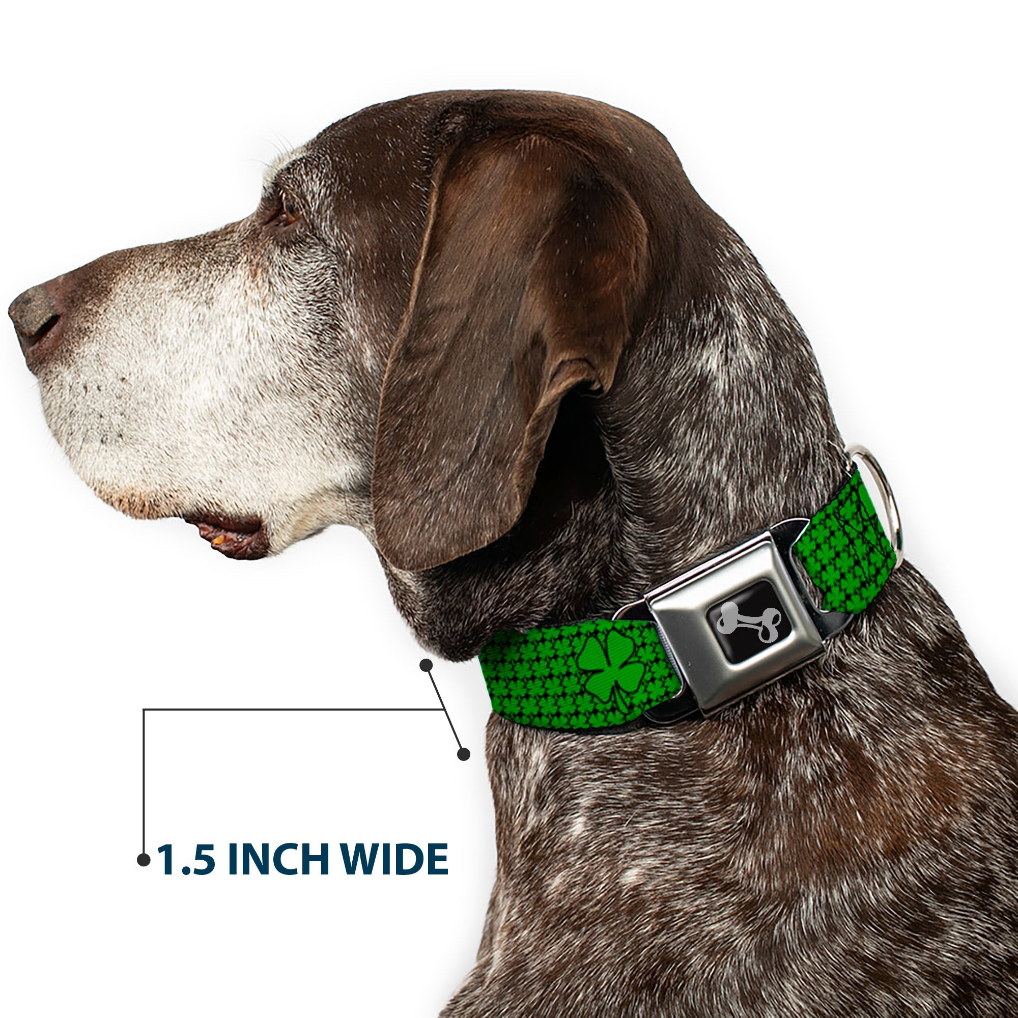 Dog Bone Seatbelt Buckle Collar - St. Pats Clovers/Green