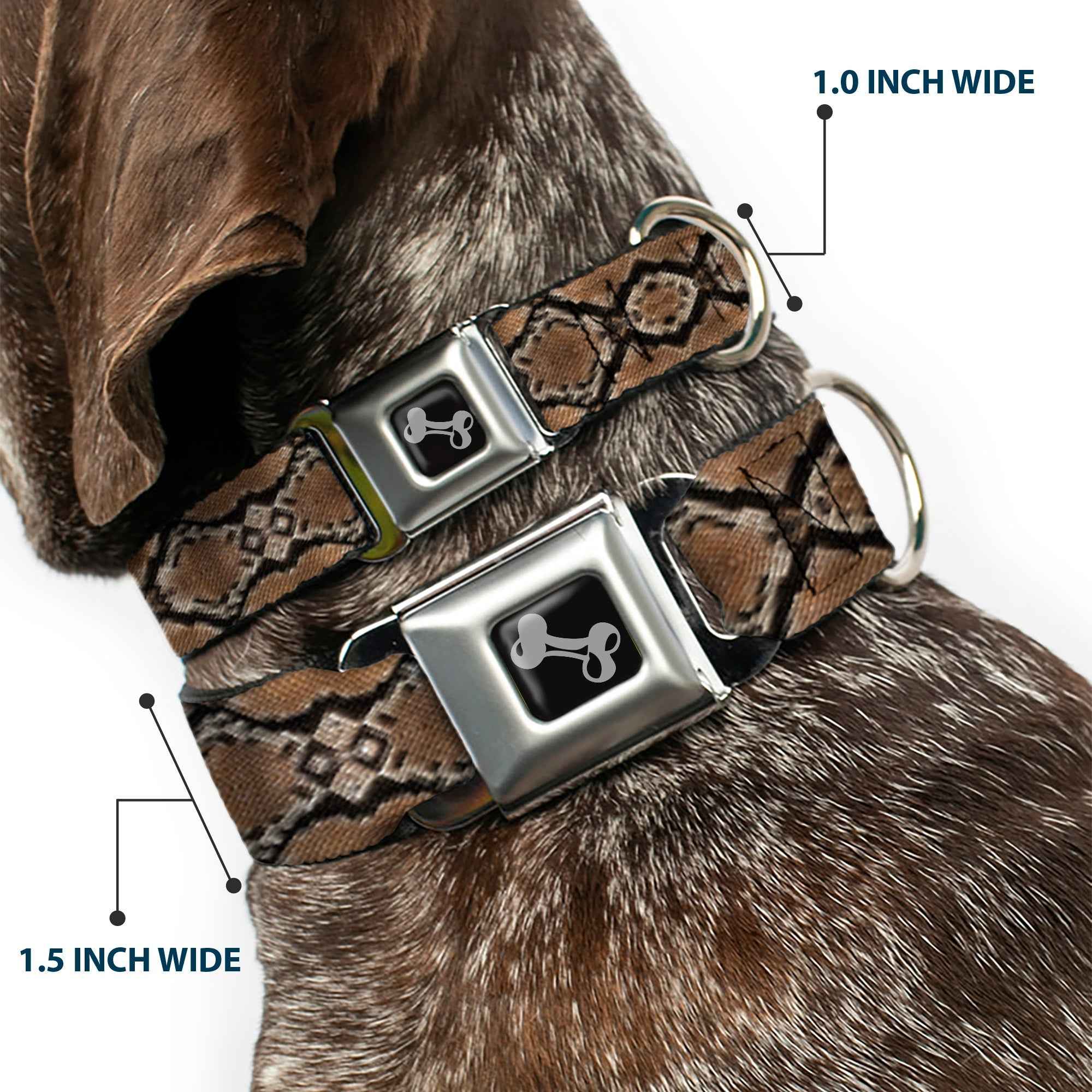 Buckle-Down Snake Skin 1 Seatbelt Buckle Dog Collar
