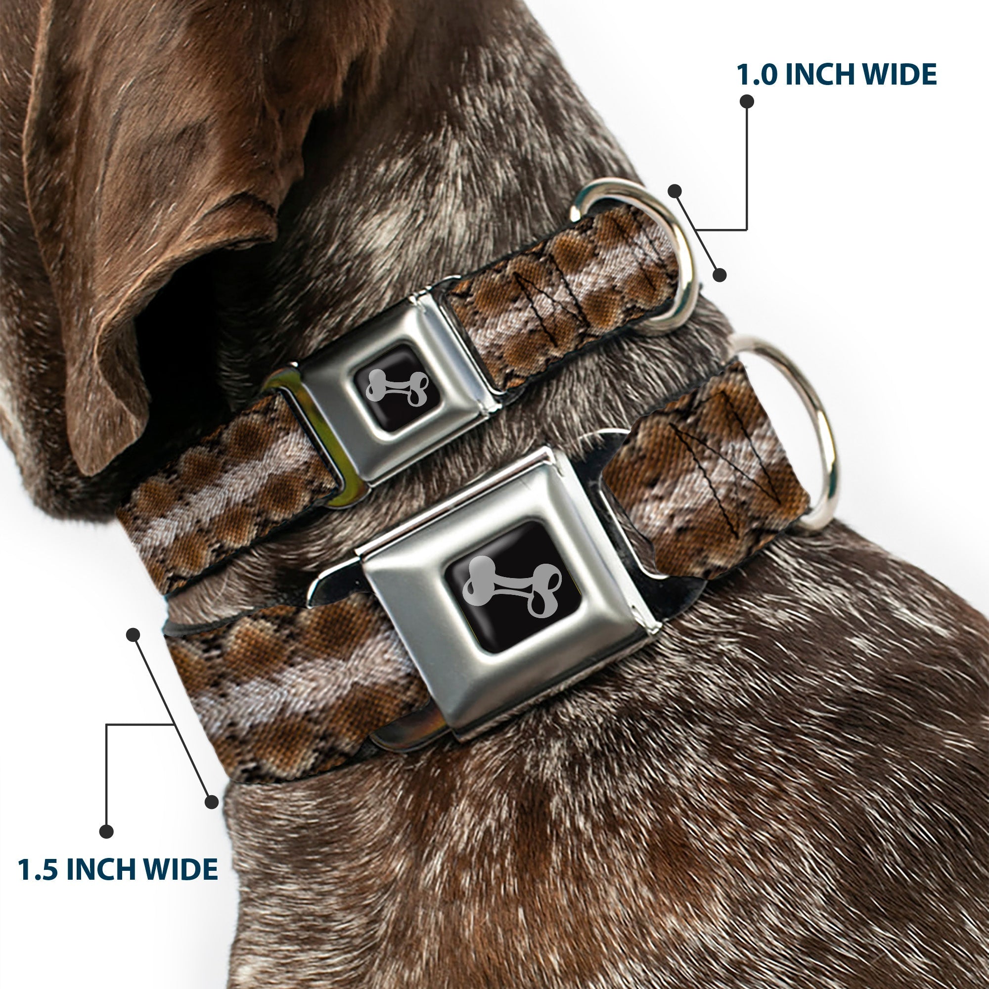 Dog Bone Seatbelt Buckle Collar - Snake Skin 2
