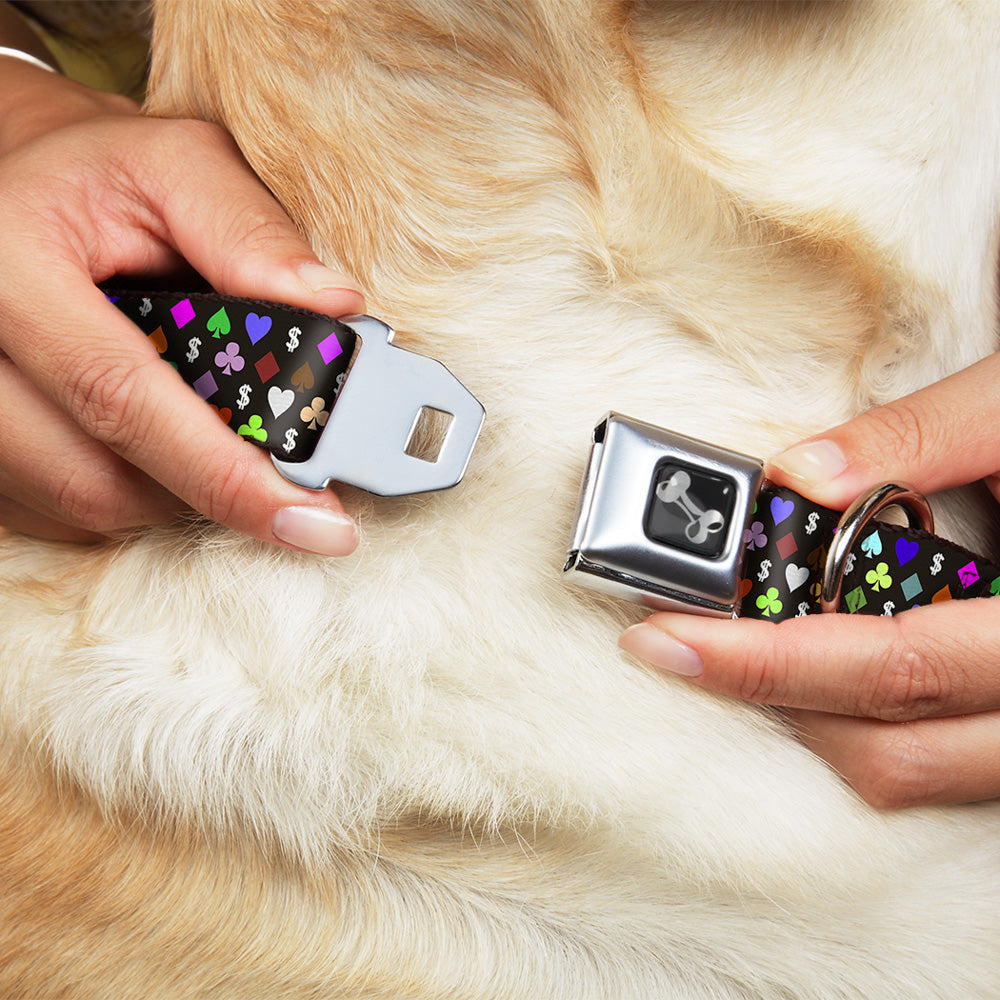 Dog Bone Seatbelt Buckle Collar - Suits $$$ Black/Multi Color