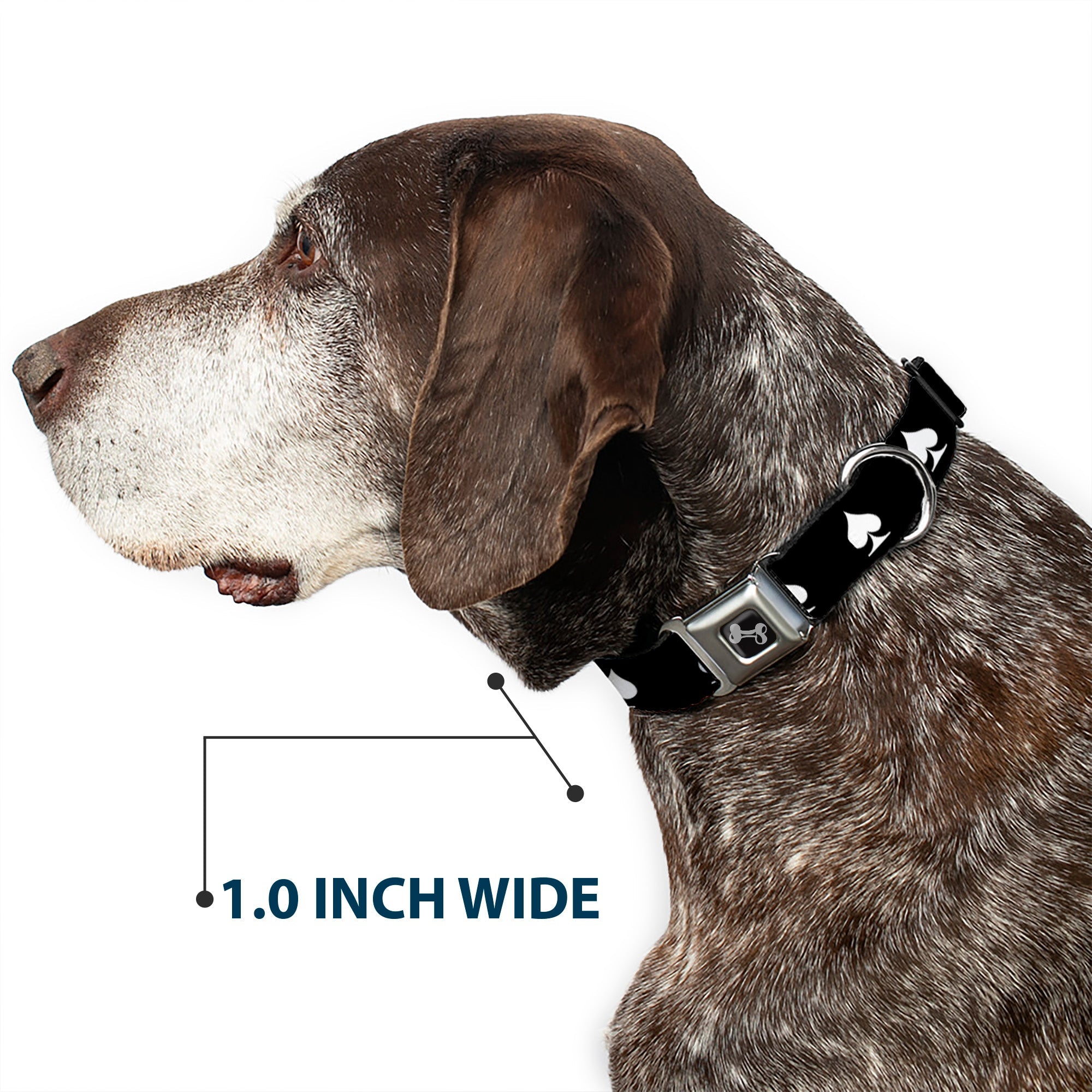 Dog Bone Seatbelt Buckle Collar - Spade Black/White