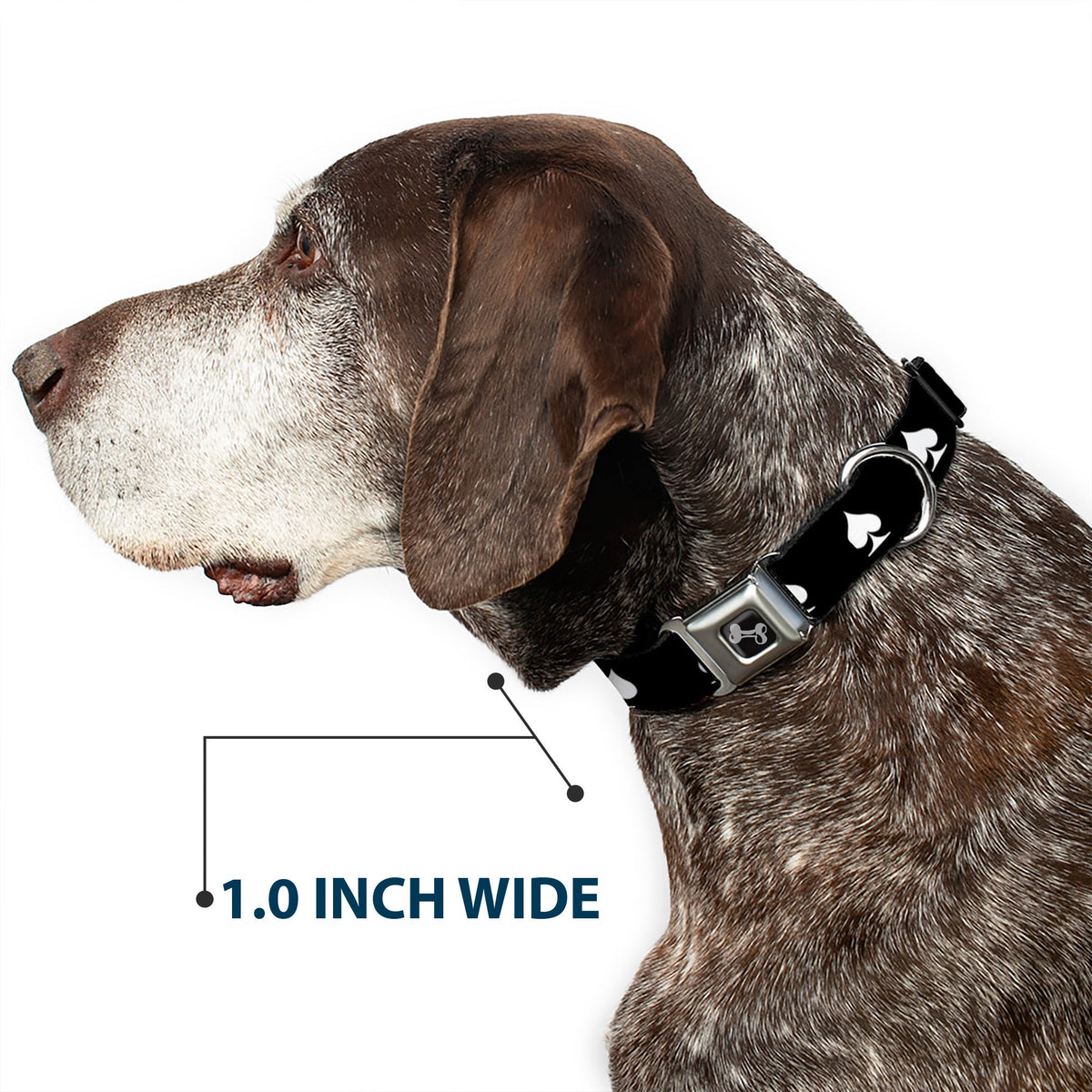 Dog Bone Seatbelt Buckle Collar - Spade Black/White