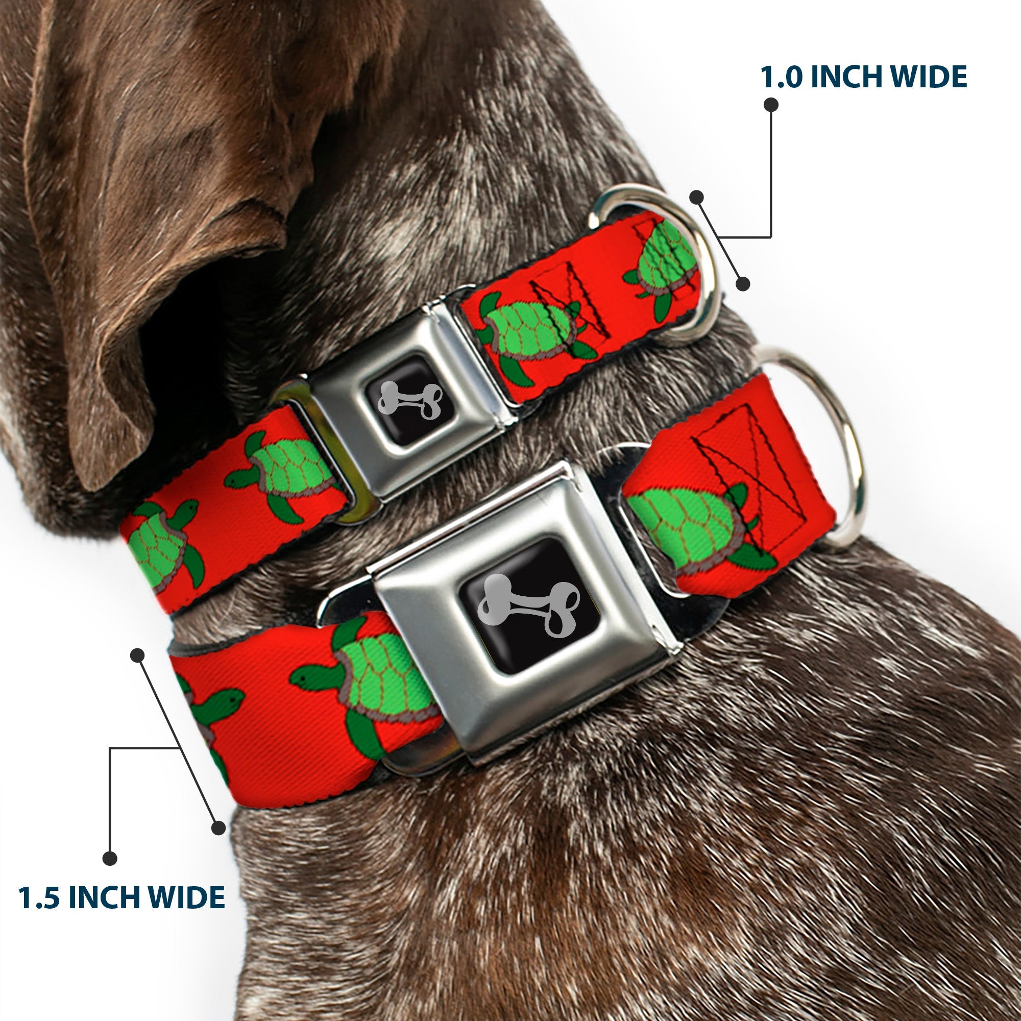 Dog Bone Seatbelt Buckle Collar - Sea Turtles Red/Green