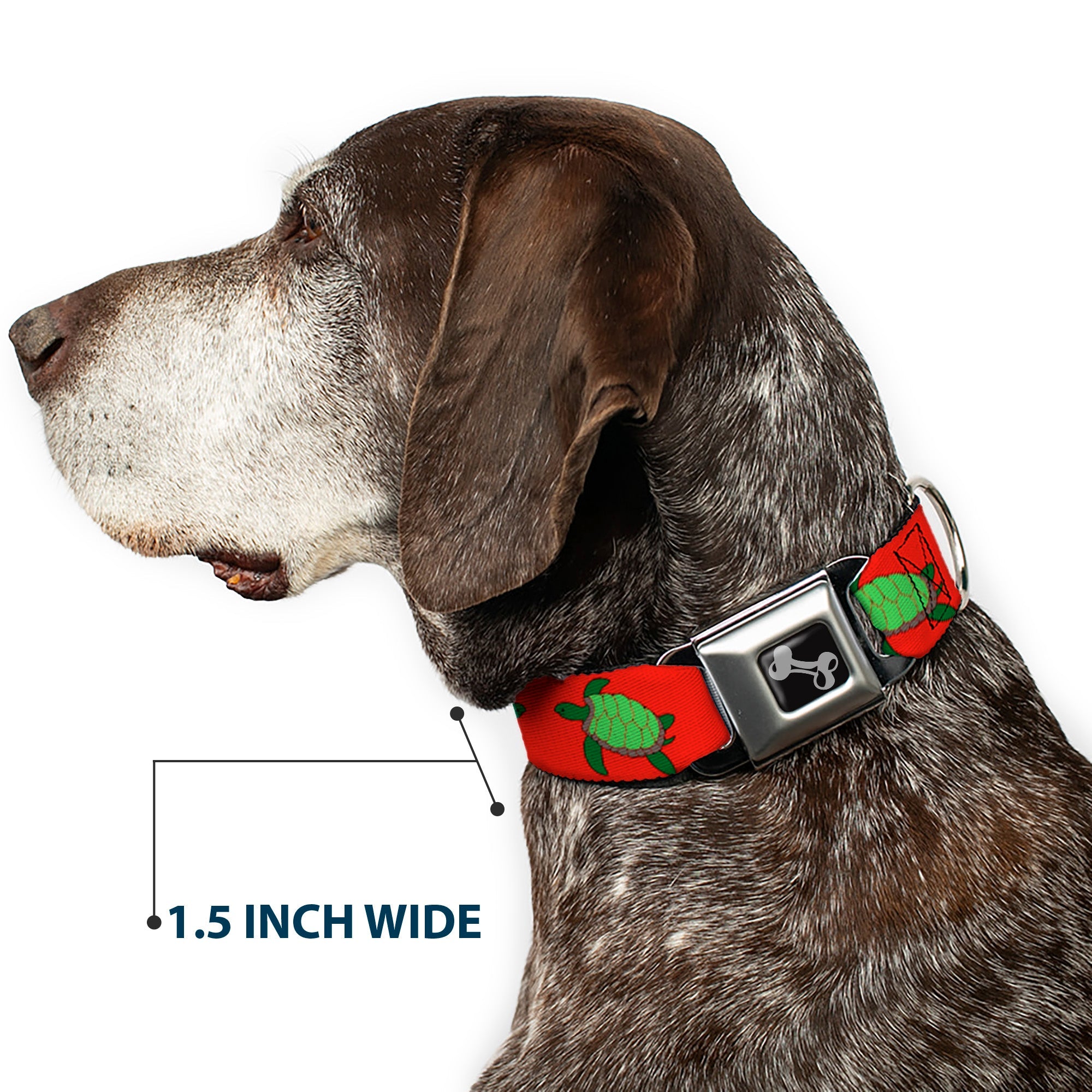 Dog Bone Seatbelt Buckle Collar - Sea Turtles Red/Green