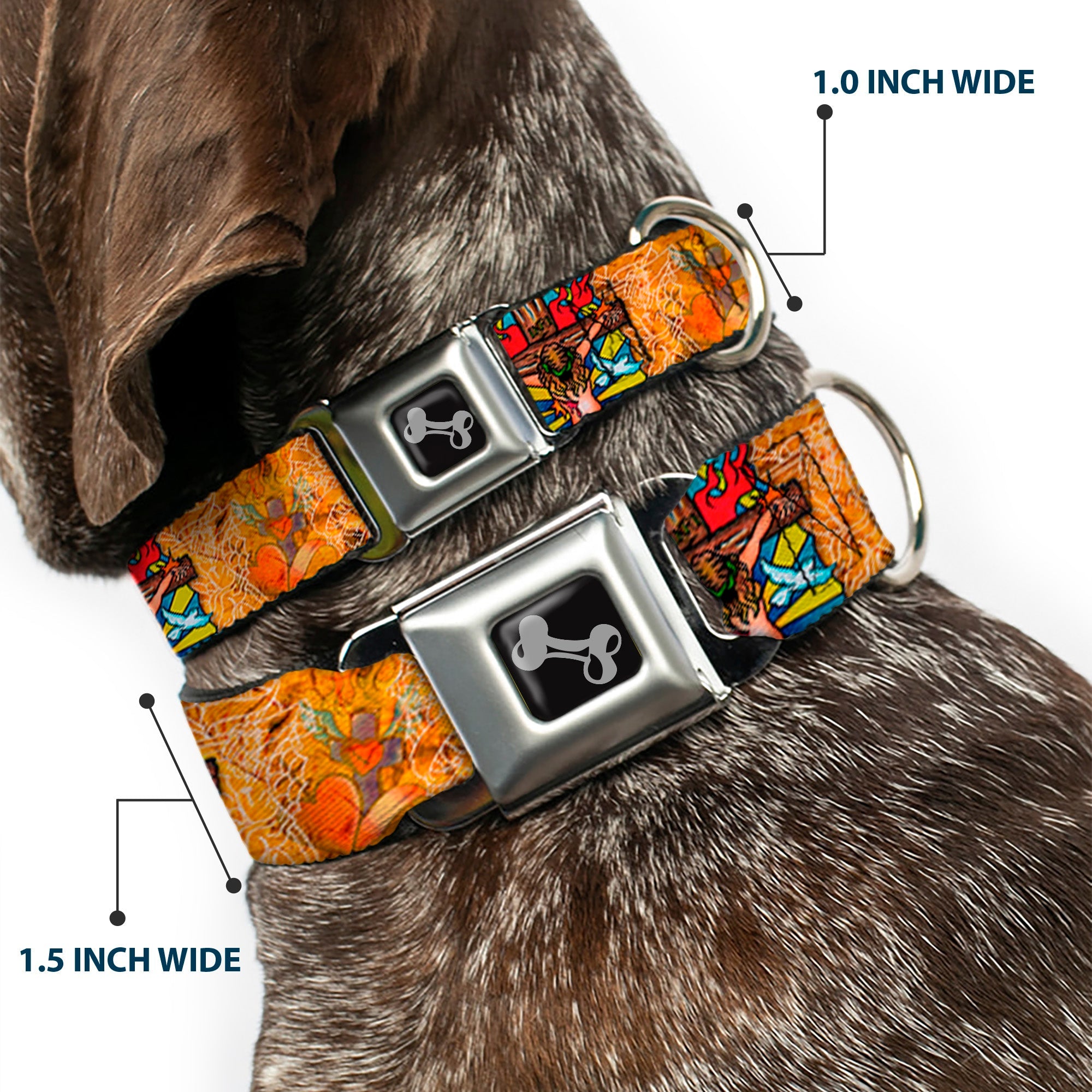 Dog Bone Seatbelt Buckle Collar - TJ-Religious
