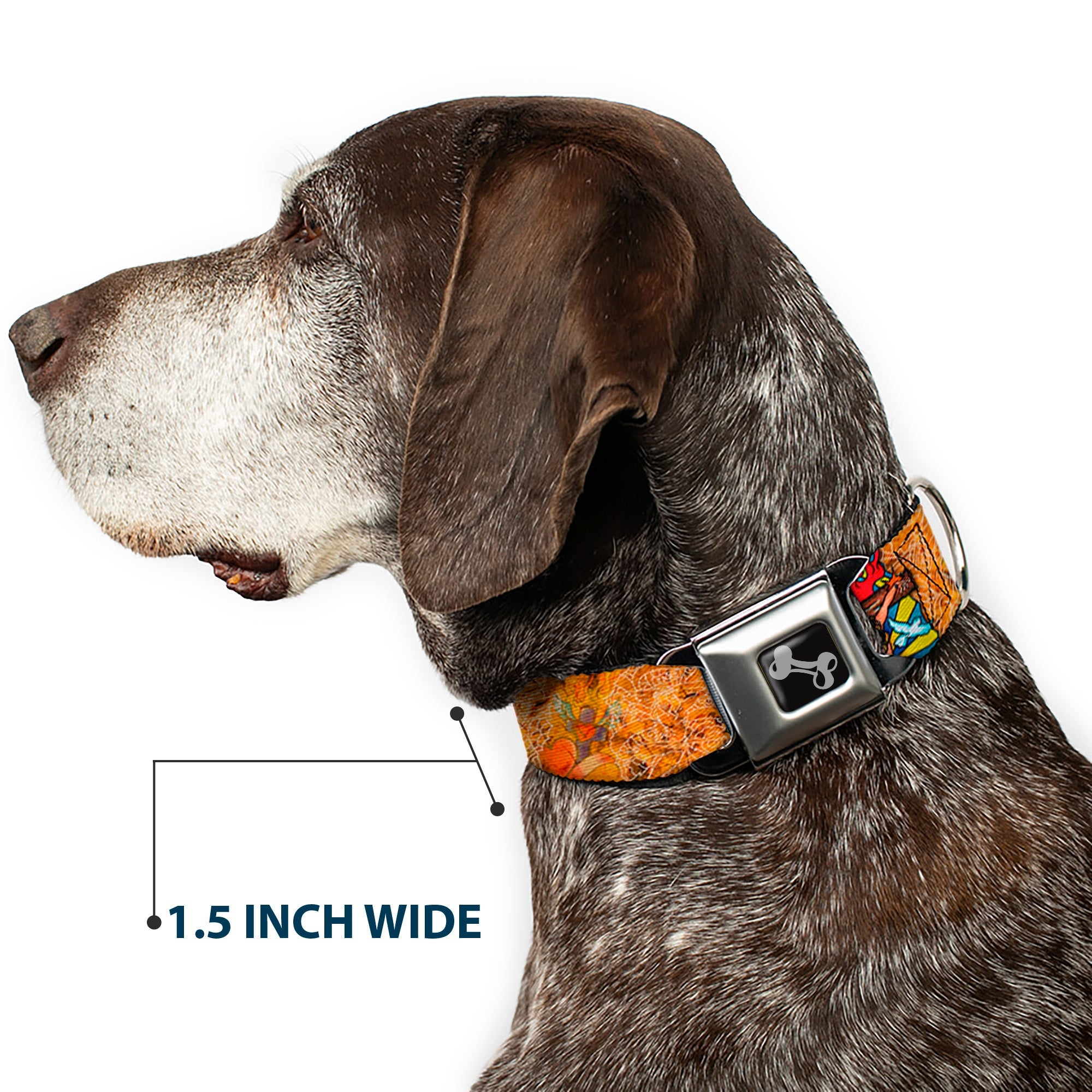 Dog Bone Seatbelt Buckle Collar - TJ-Religious