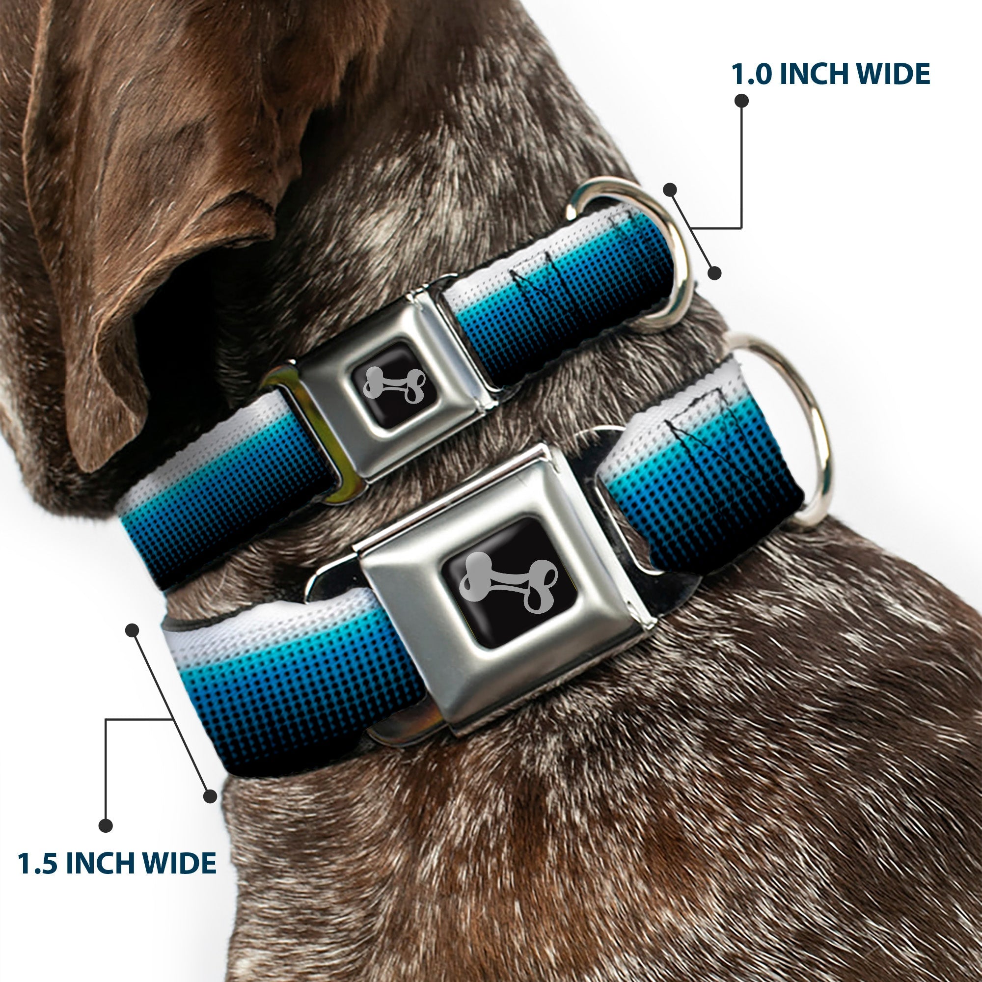 Dog Bone Seatbelt Buckle Collar - Transitioning Dots White/Blue/Black