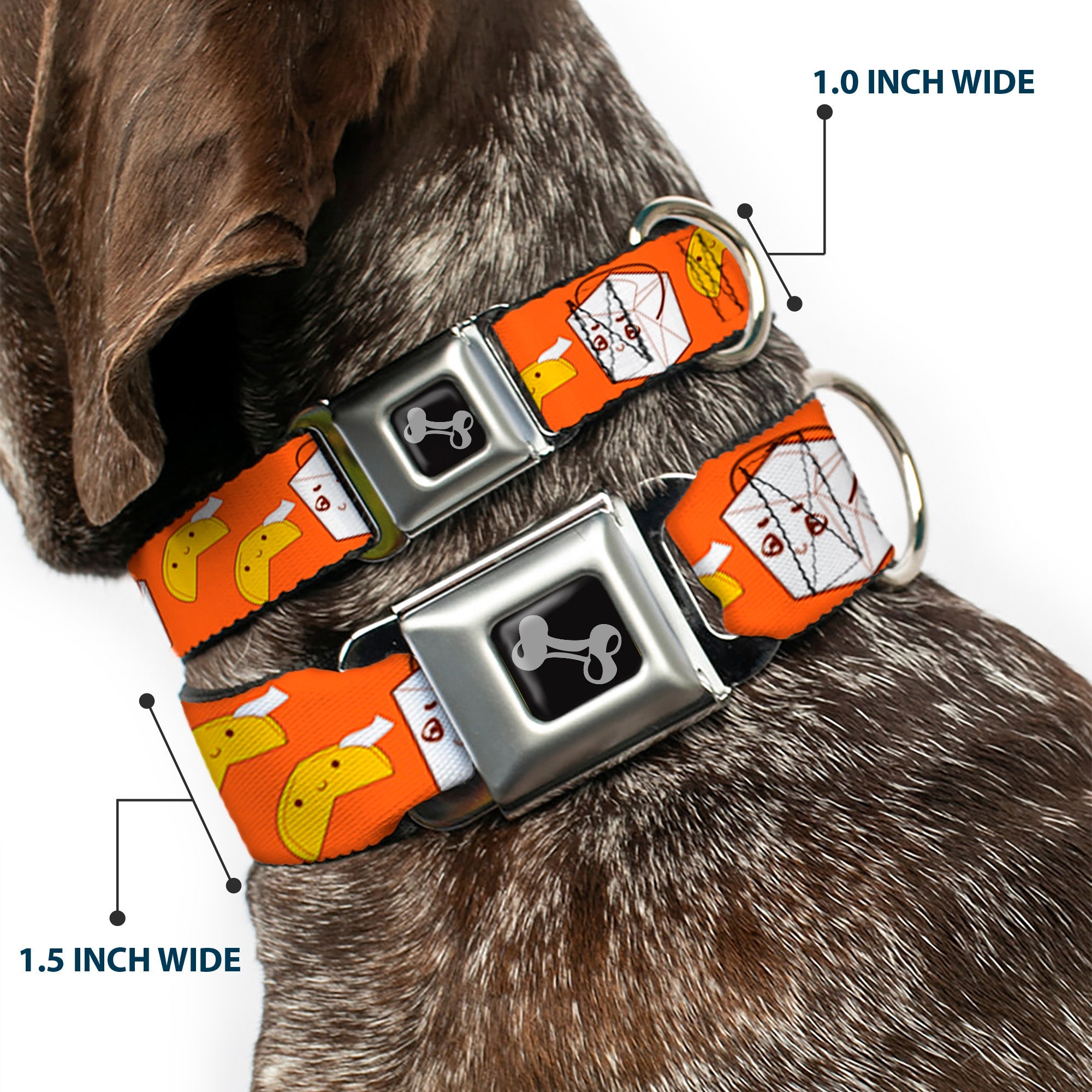 Dog Bone Seatbelt Buckle Collar - Take Out/Fortune Cookies Orange
