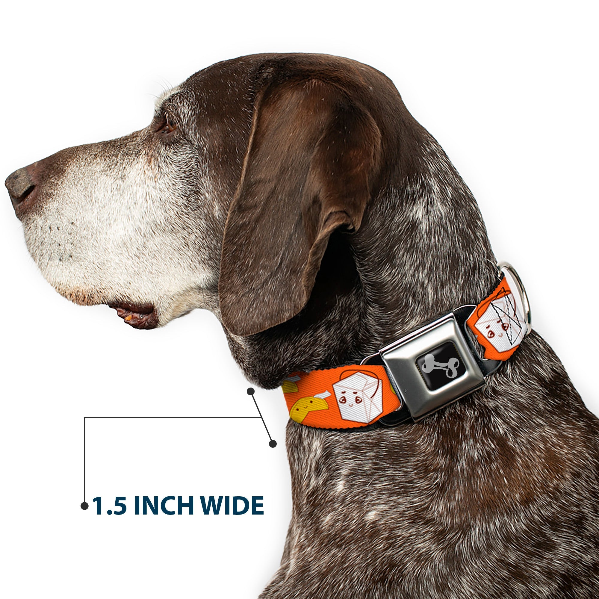 Dog Bone Seatbelt Buckle Collar - Take Out/Fortune Cookies Orange